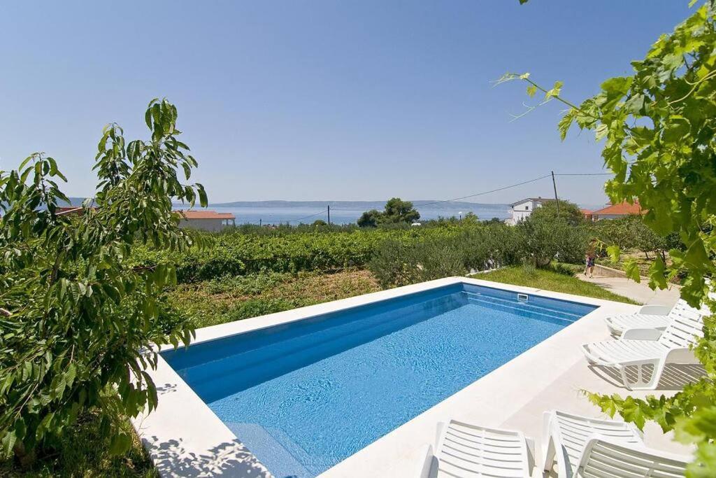 Eden Holiday House with private Pool and Vineyard