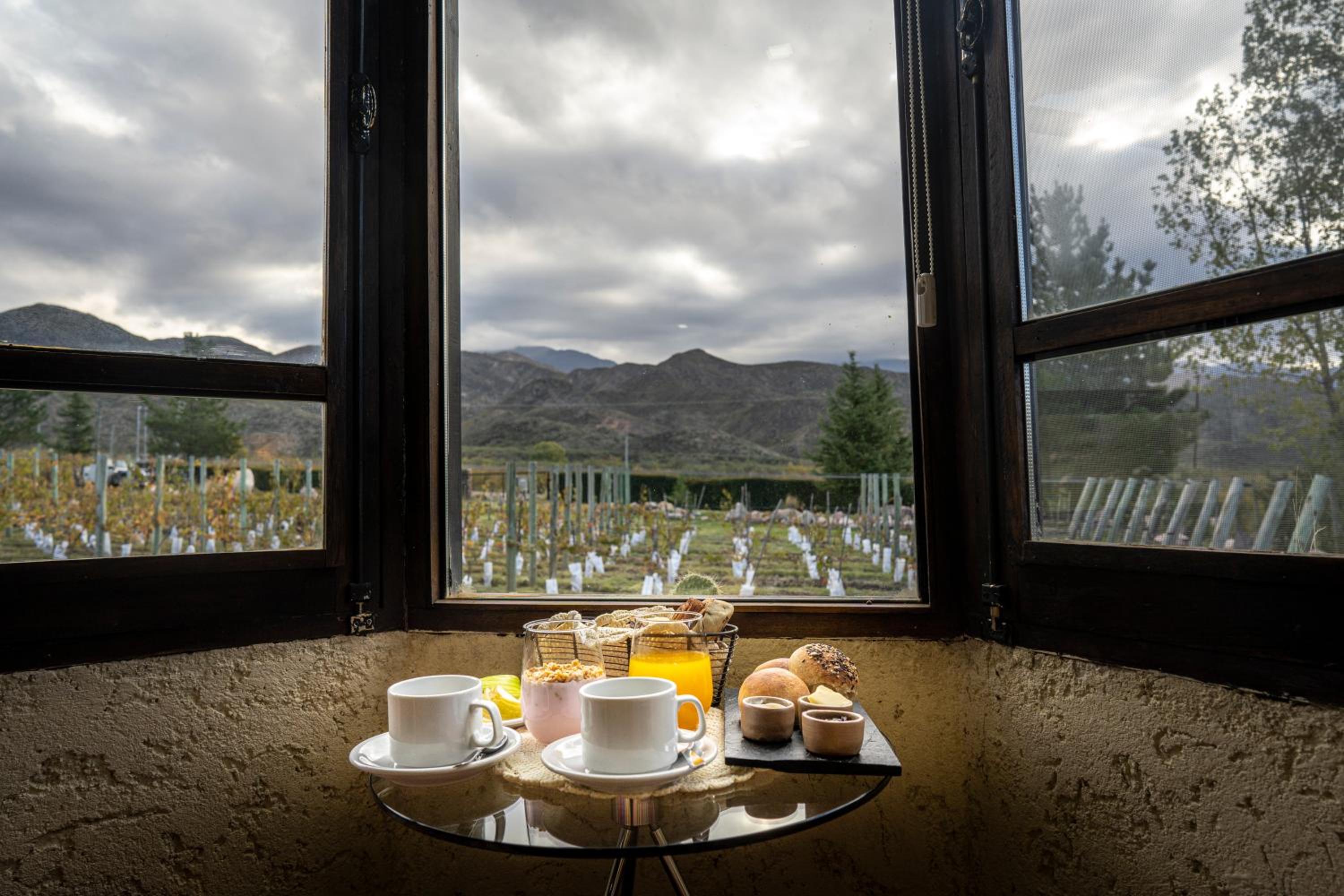 Ayres de Uco Lodge & Wine Lovers