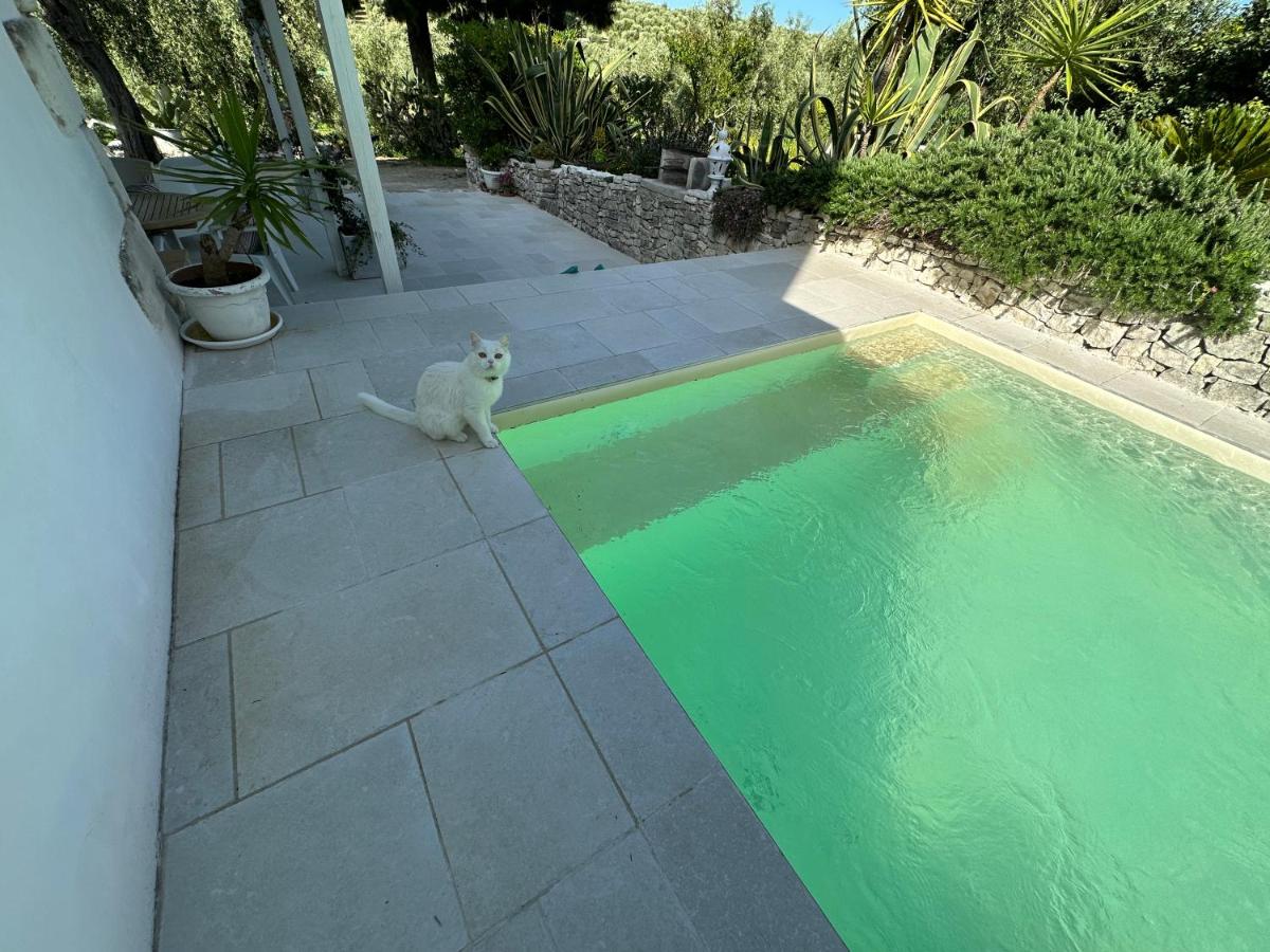 Villa del 1700 immersa nel verde, Poggio al Sole Vieste view 4