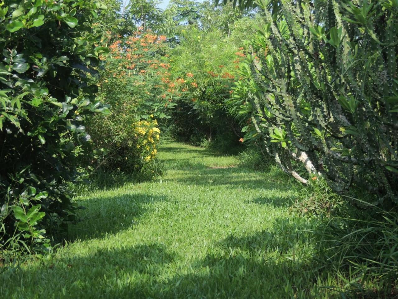 Maylyn Guesthouse