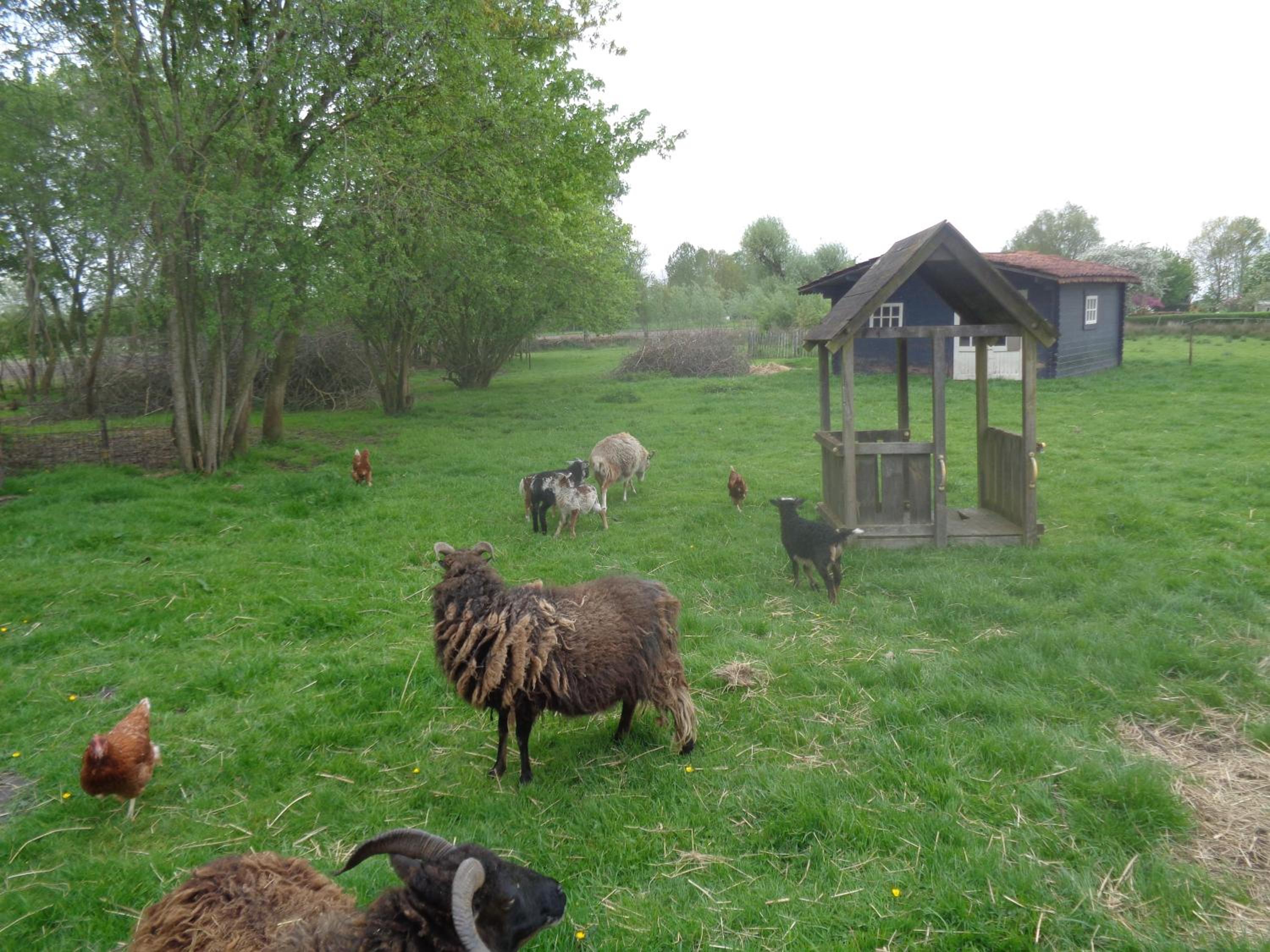 B&B De Boeren Zwaluw view 2