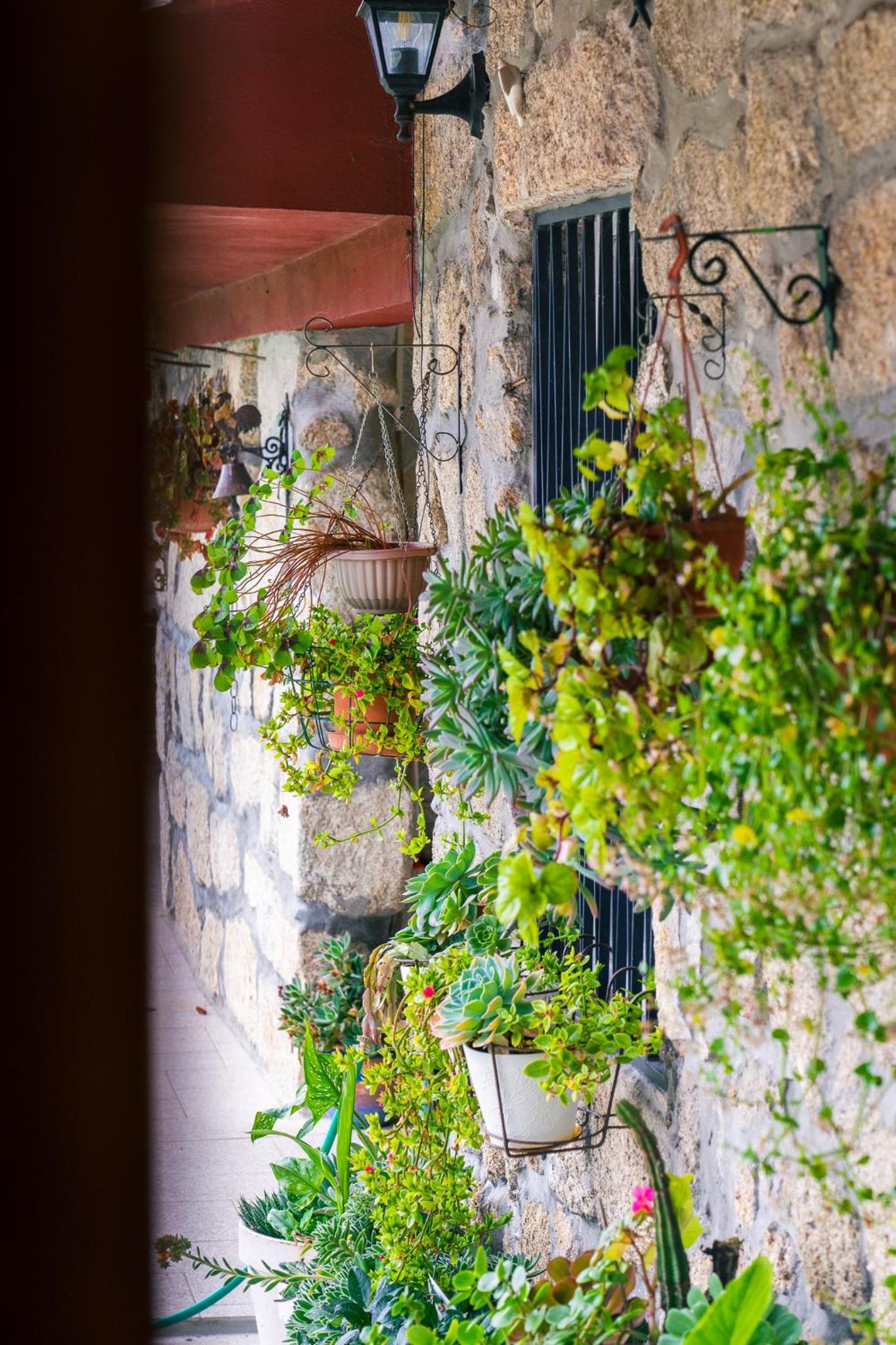Leiras de Candoz Douro Valley view 4
