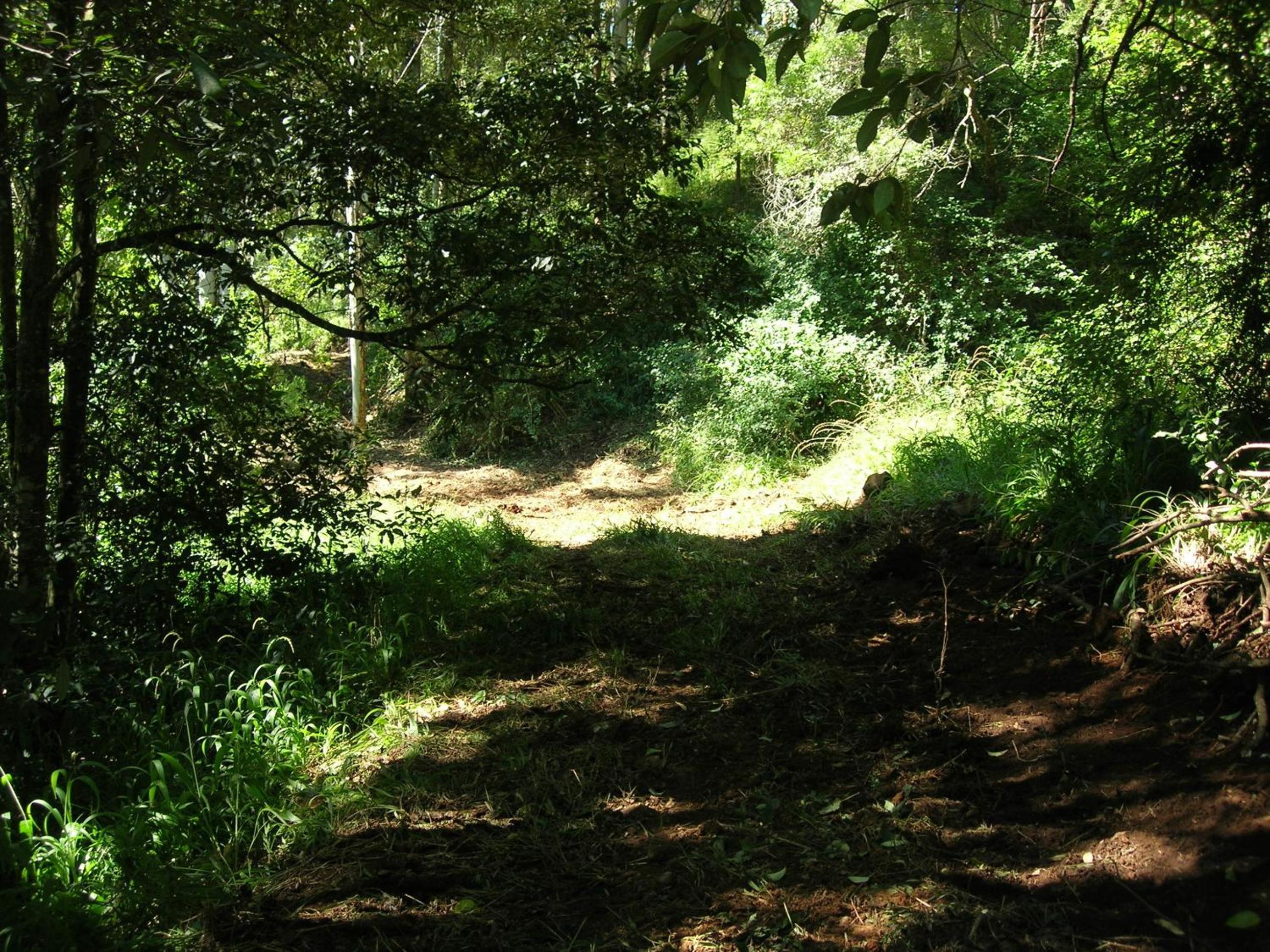 Bellview