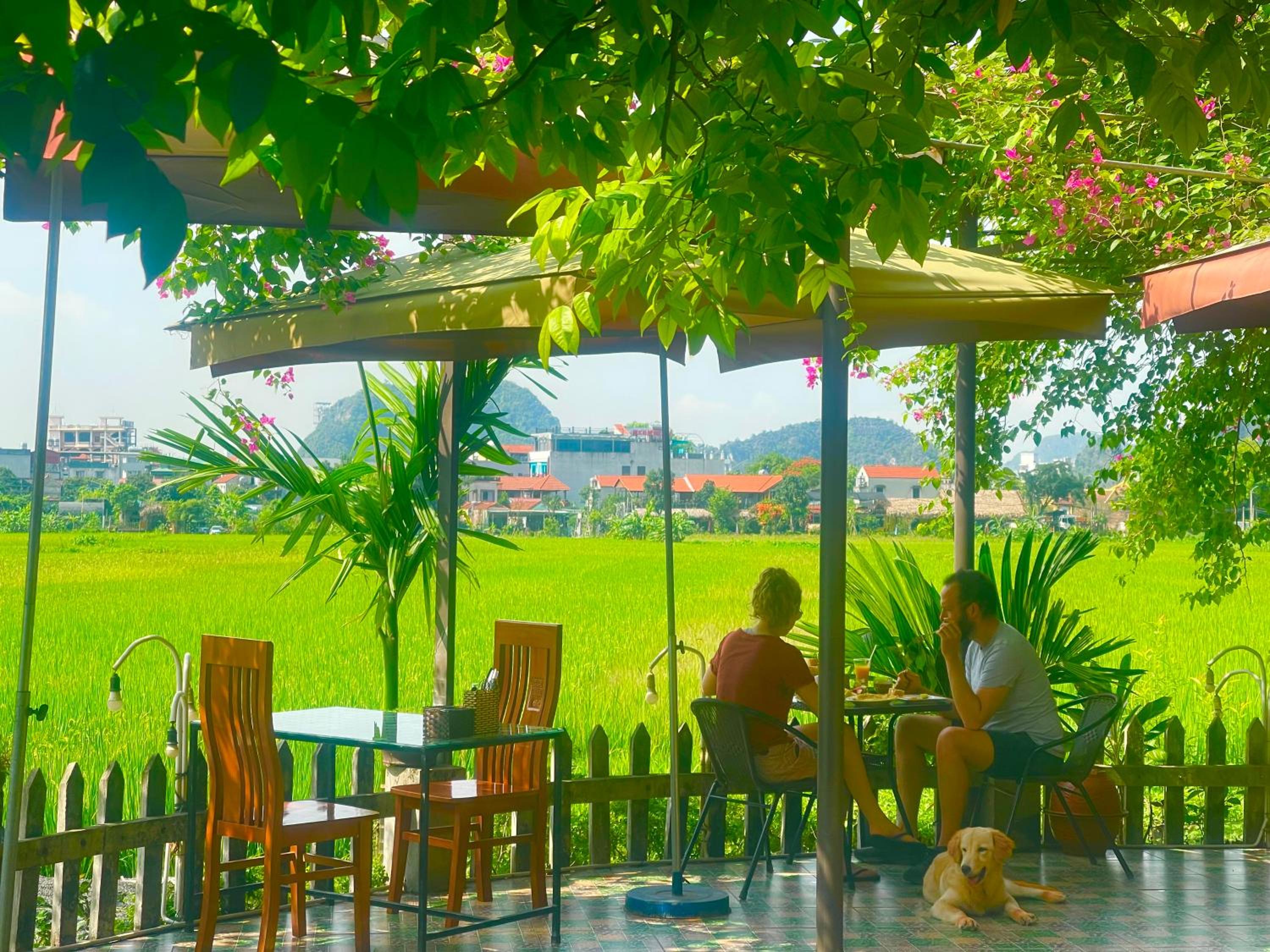 Tam Coc Eco Field Nest By ANMS GROUP