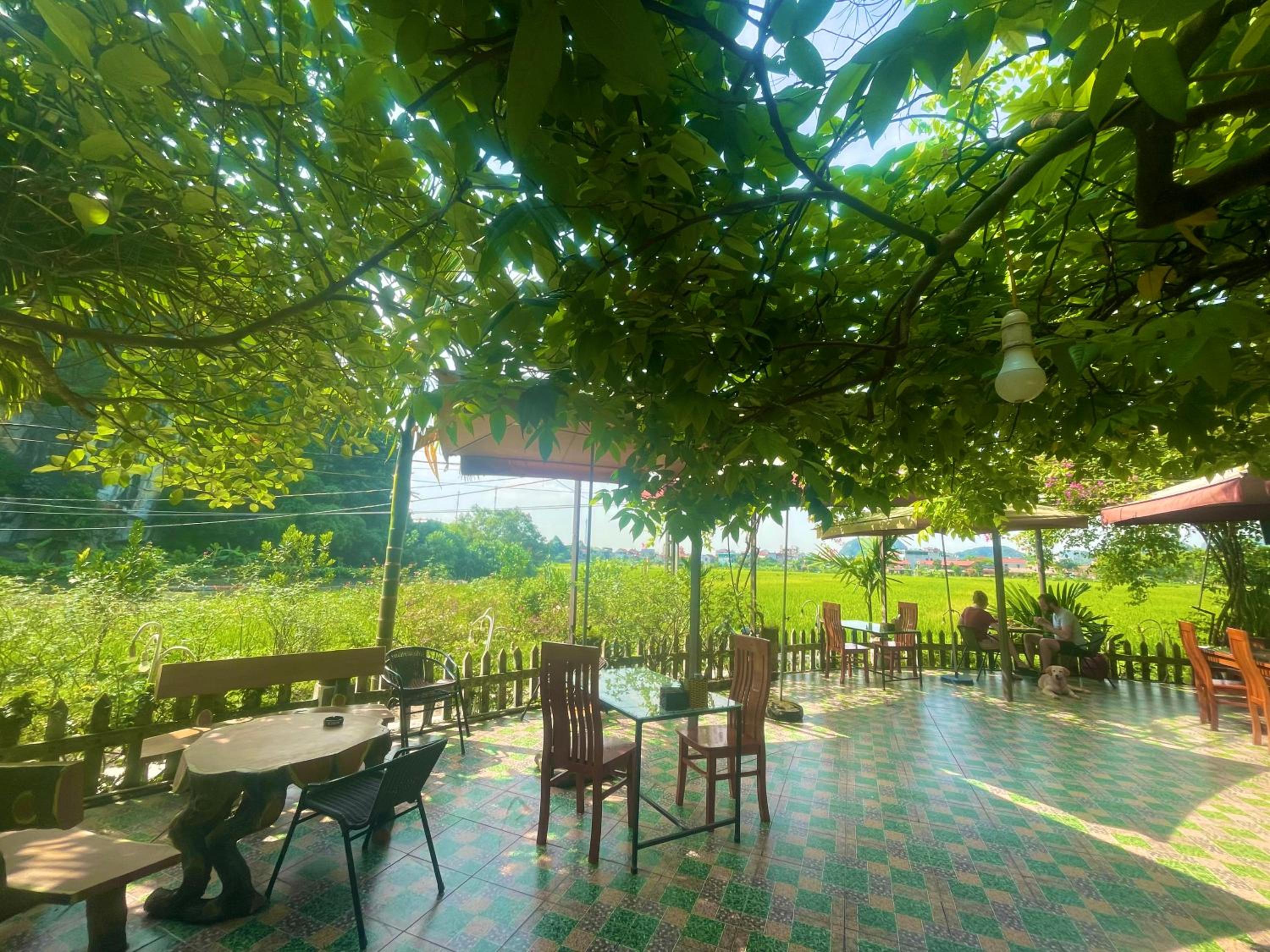 Tam Coc Eco Field Nest By ANMS GROUP
