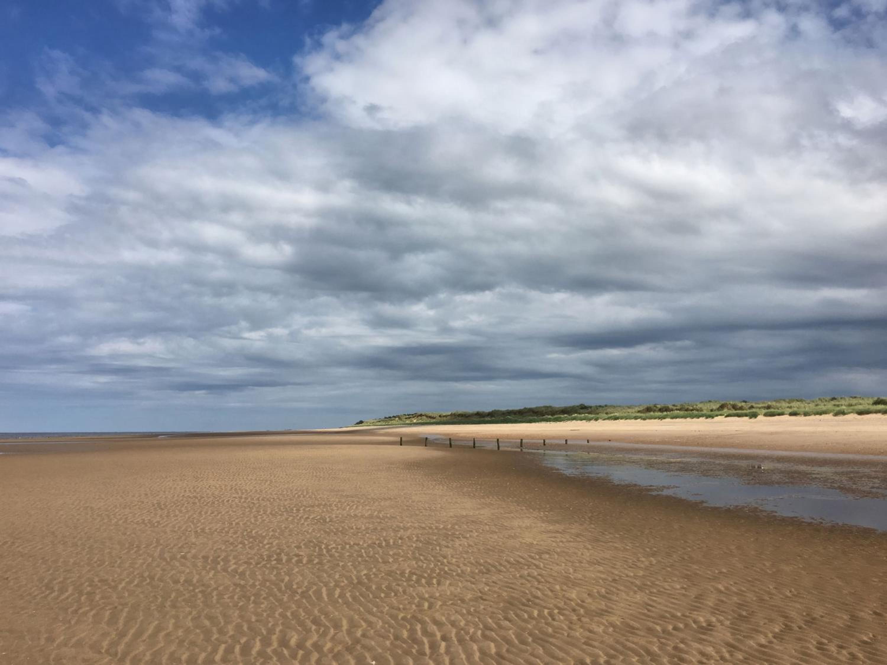 Saltmarshes