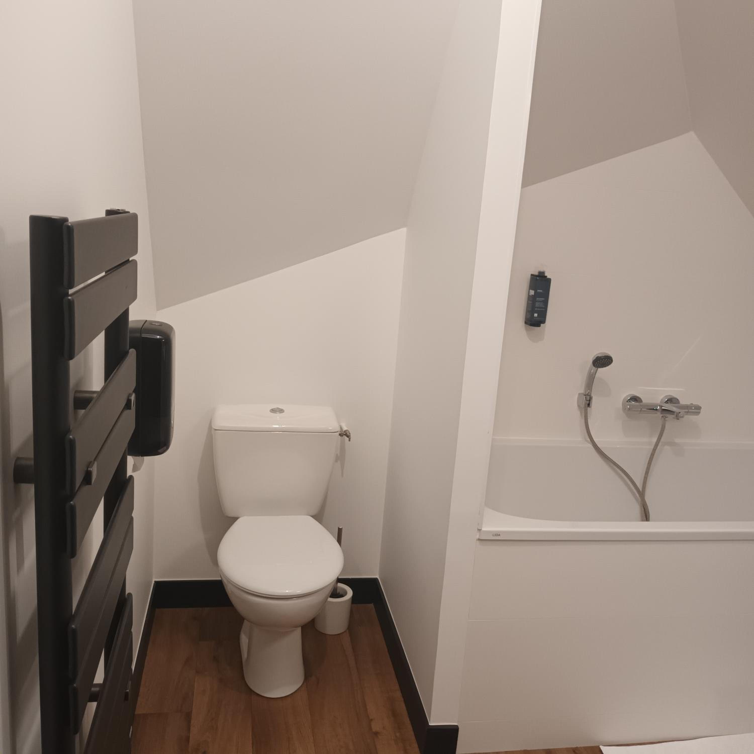 le Ricordeau en Domagné — bathroom