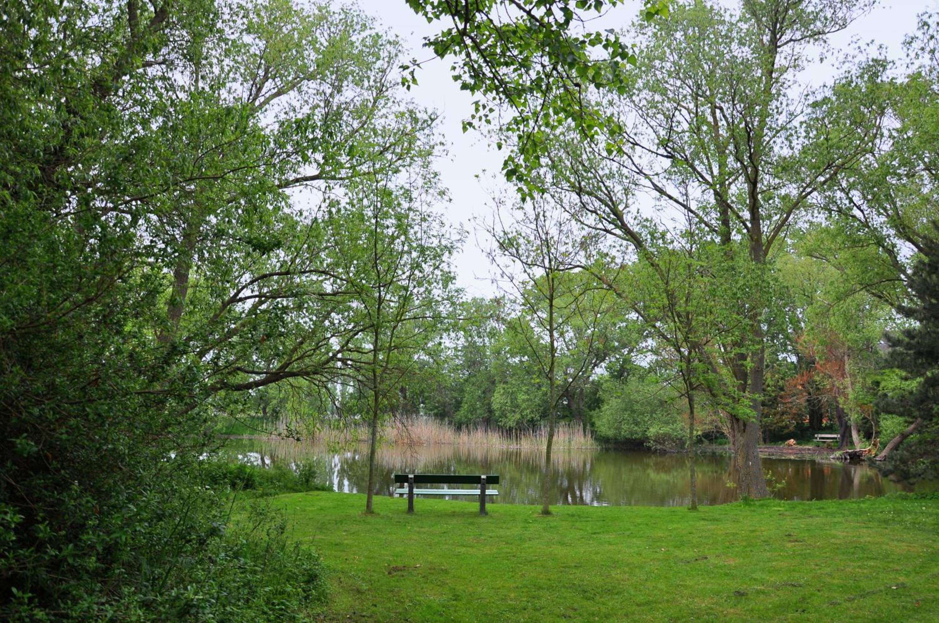 Albertsdorf Goldblick