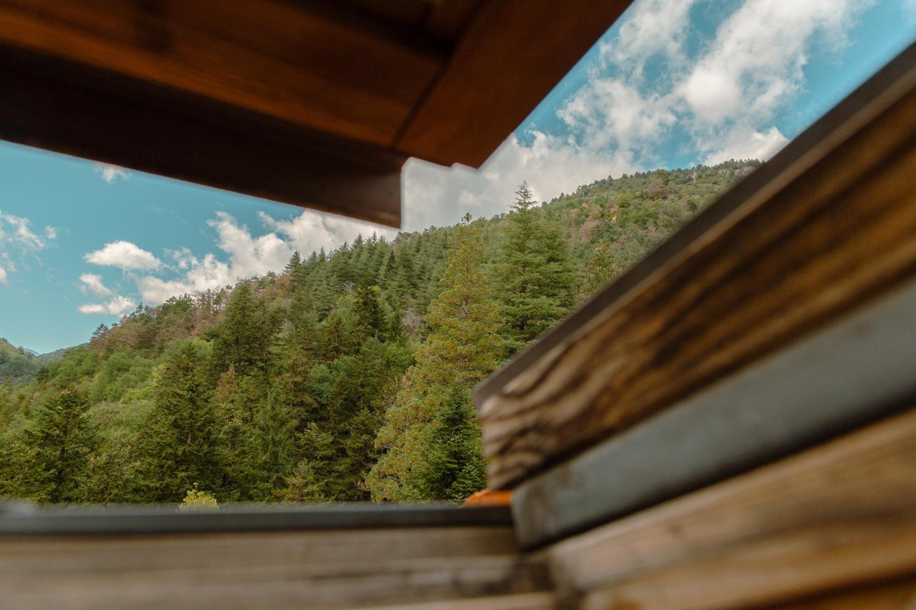 El Petit Estudi - Els Apartaments del Bosc