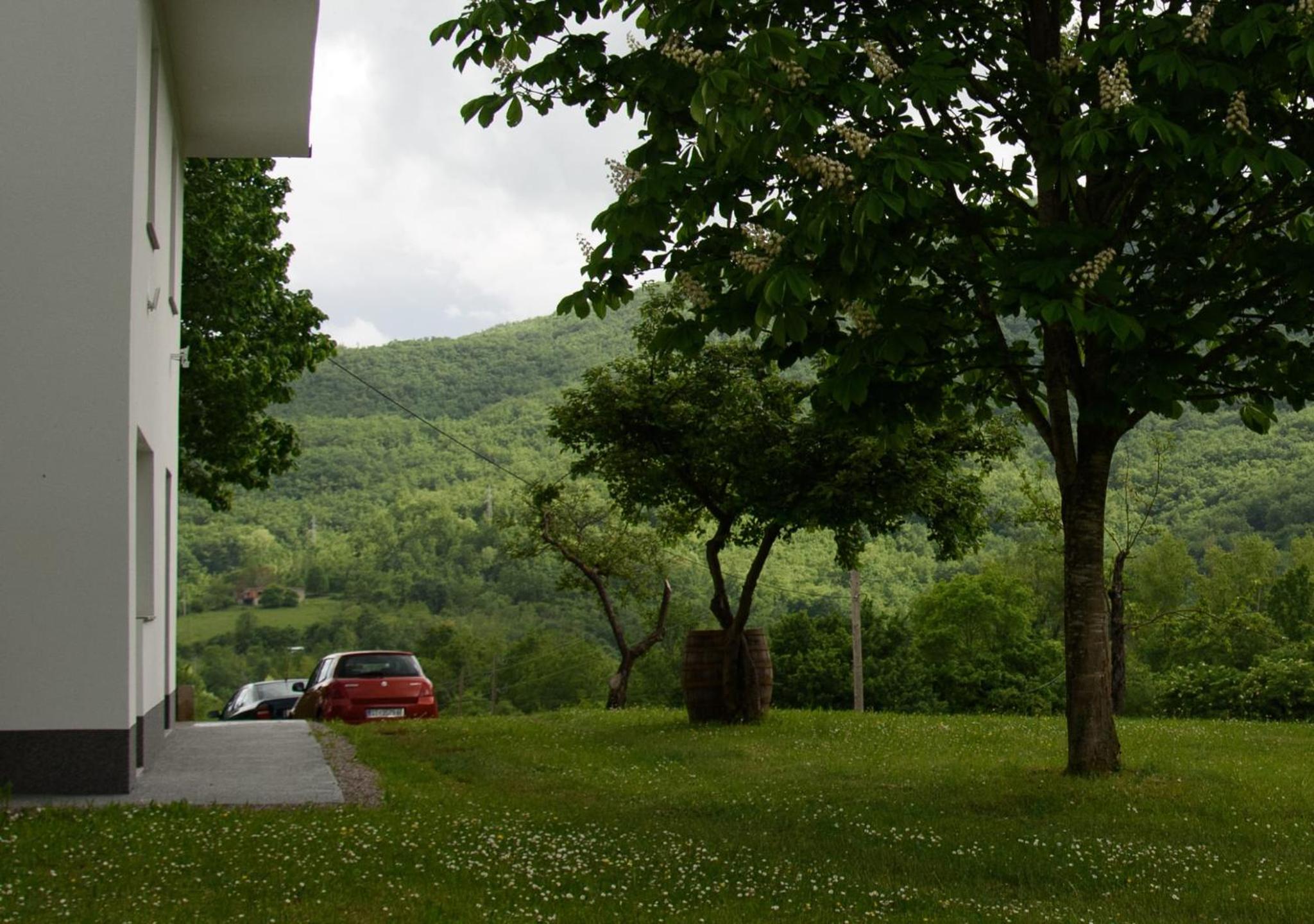 Photo 30