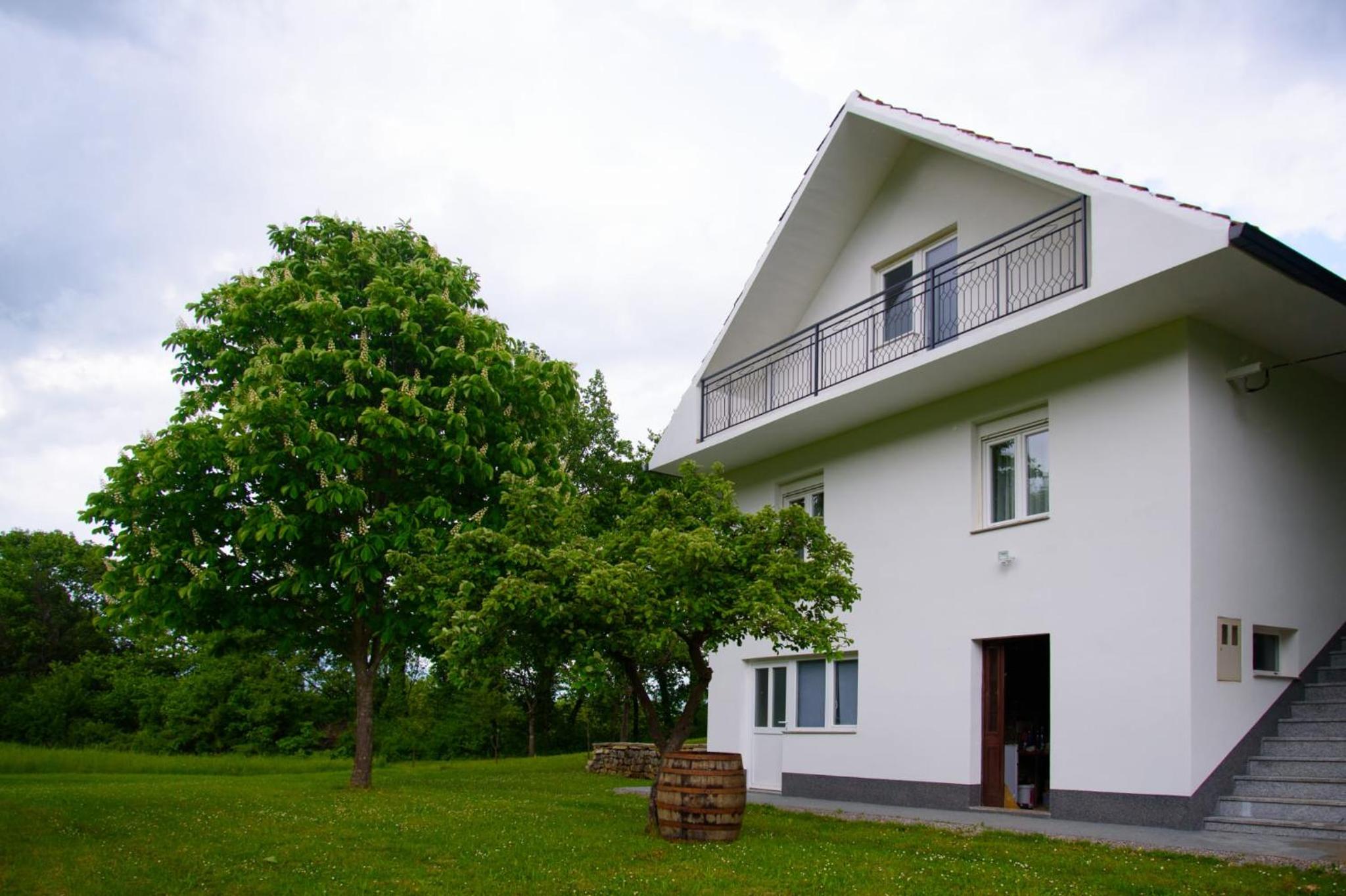 Kuća za odmor Elena view 2