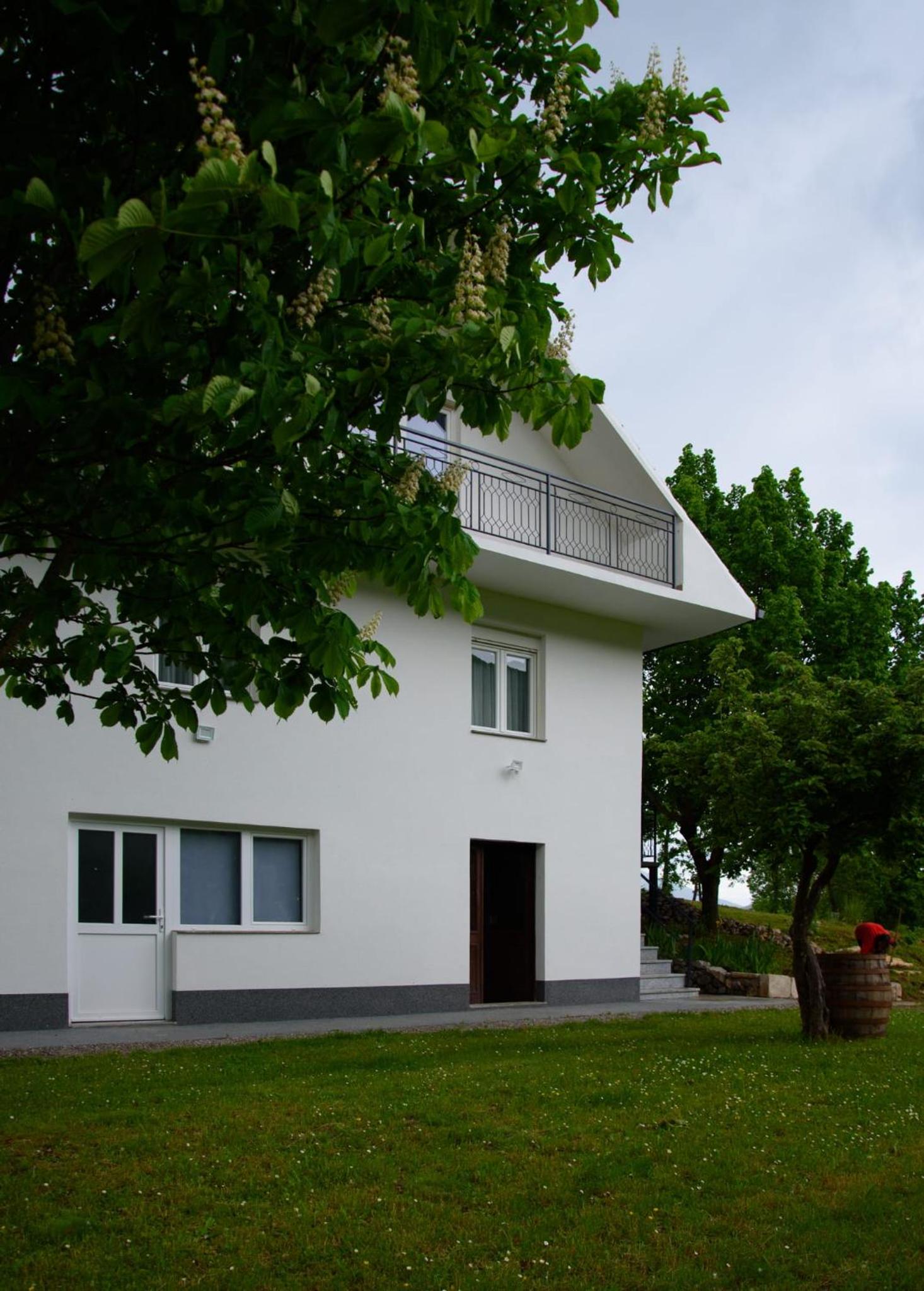 Kuća za odmor Elena view 3
