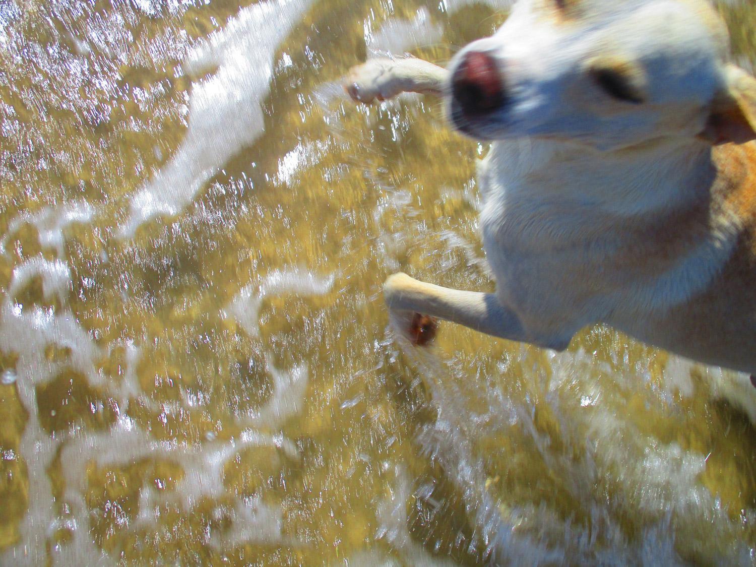 Photo 40