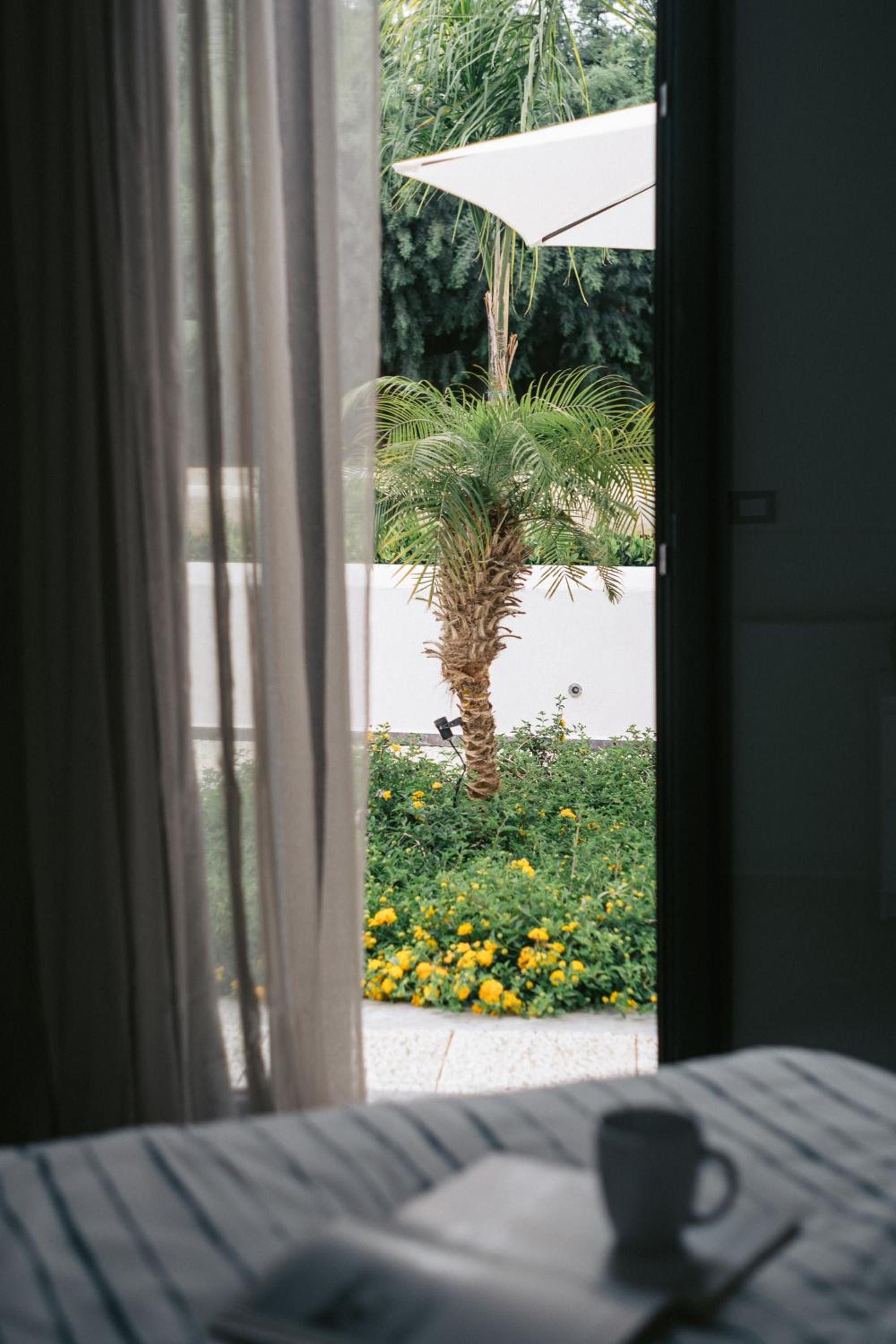 FONDO MONDELLO