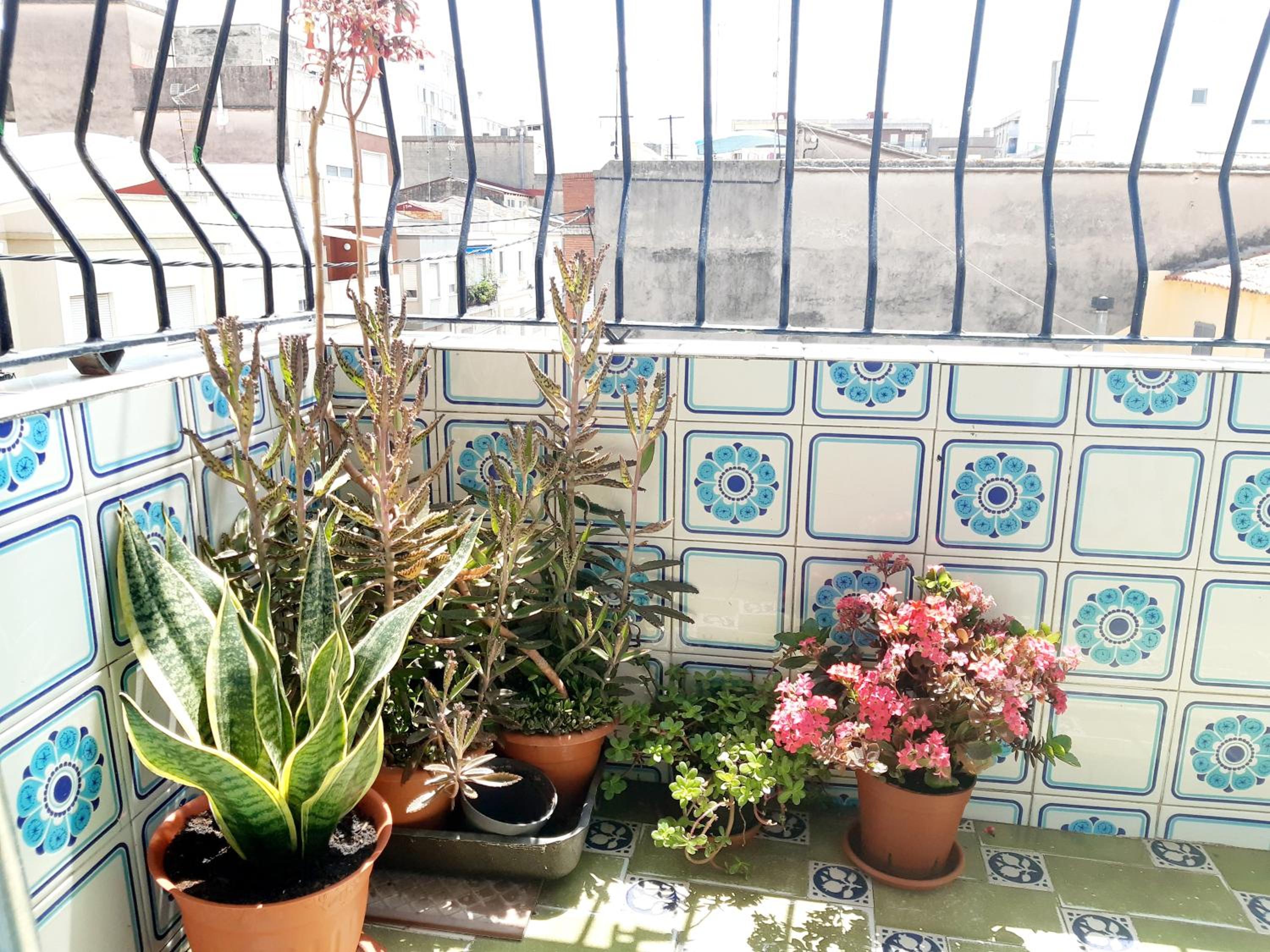 Apartamento Vernissa
