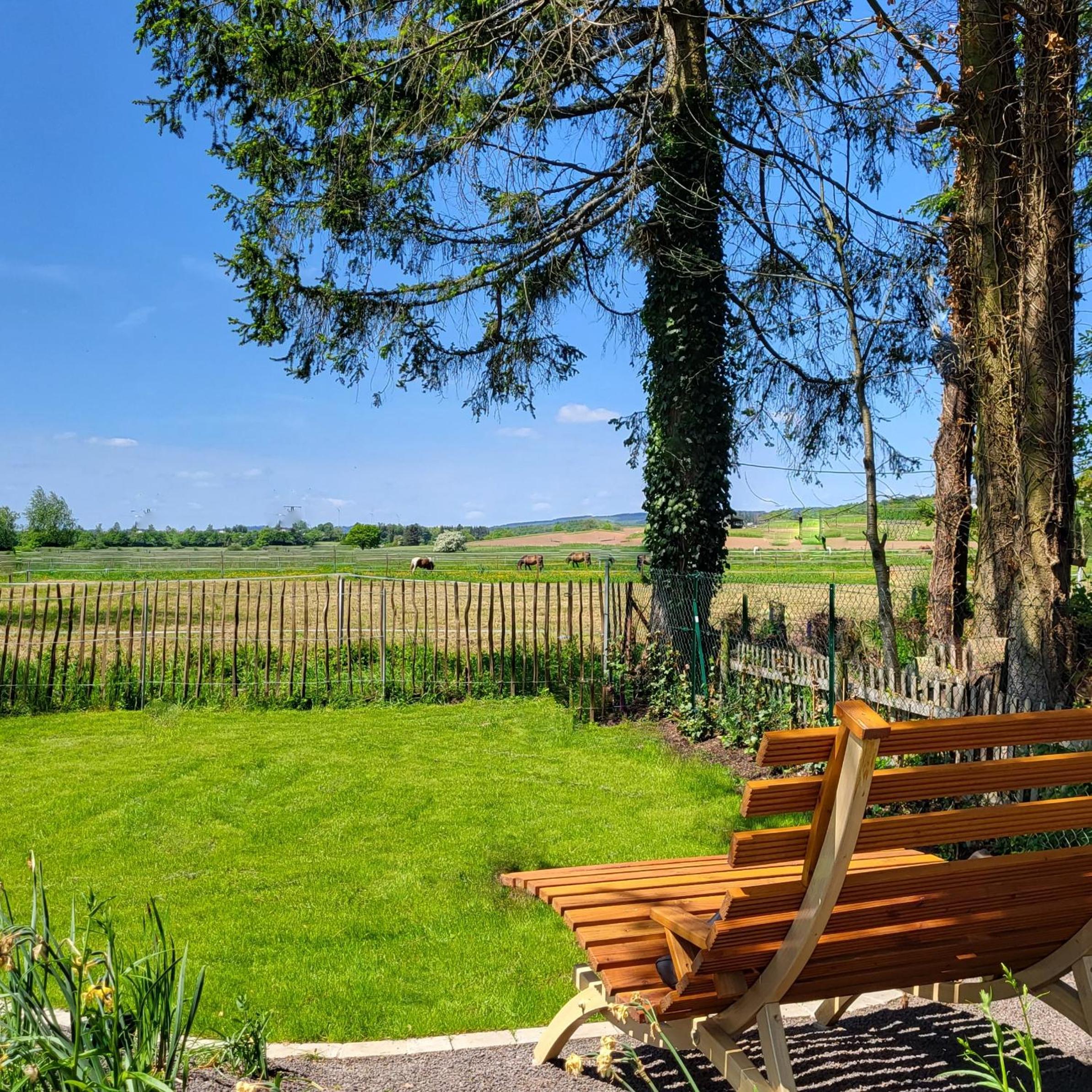 Komfort Ferienwohnungen mit Wellness-Garten - Gästehaus am Bachlauf - Losheim am See