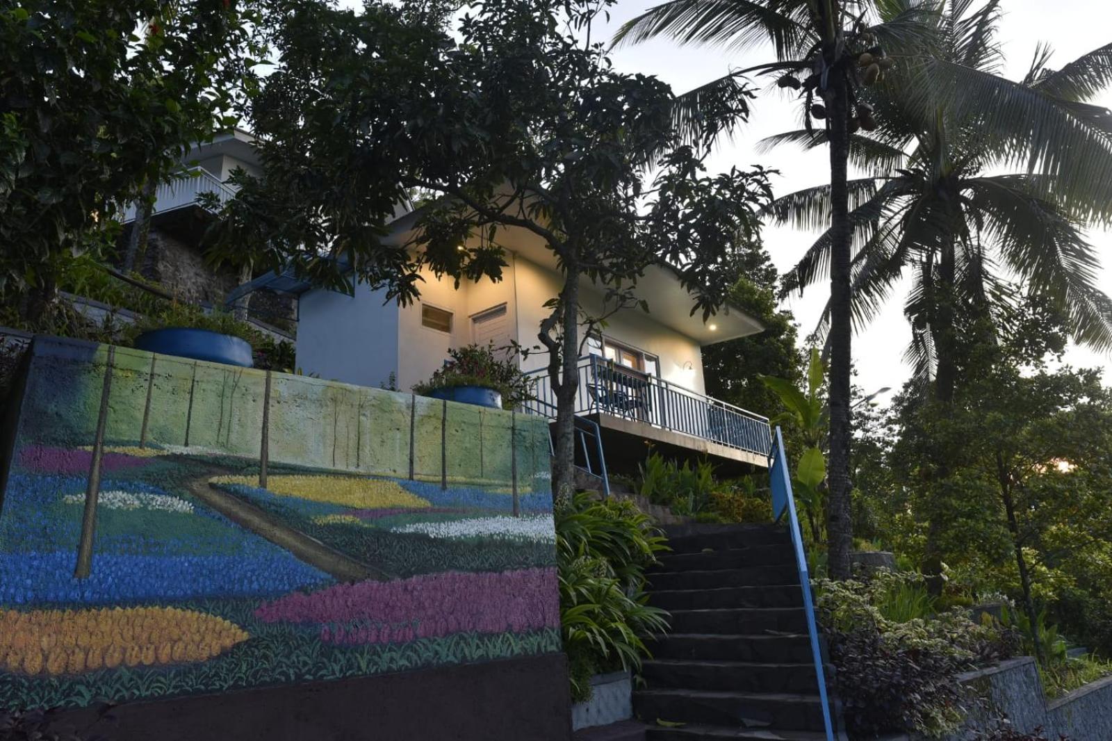 Photo 62
