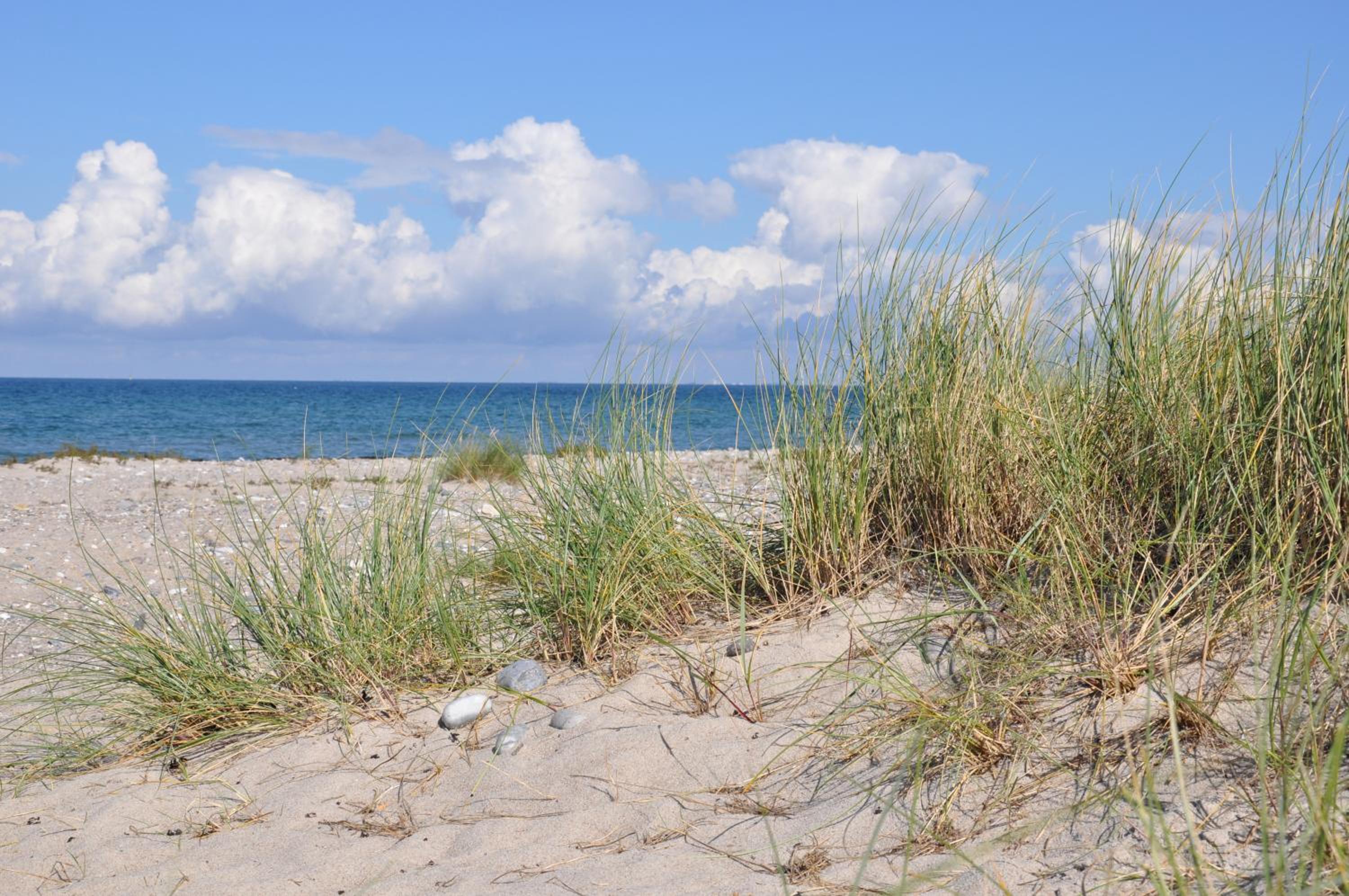 Burgtiefe Südstrand