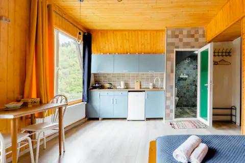 Borjomi Nest view 4