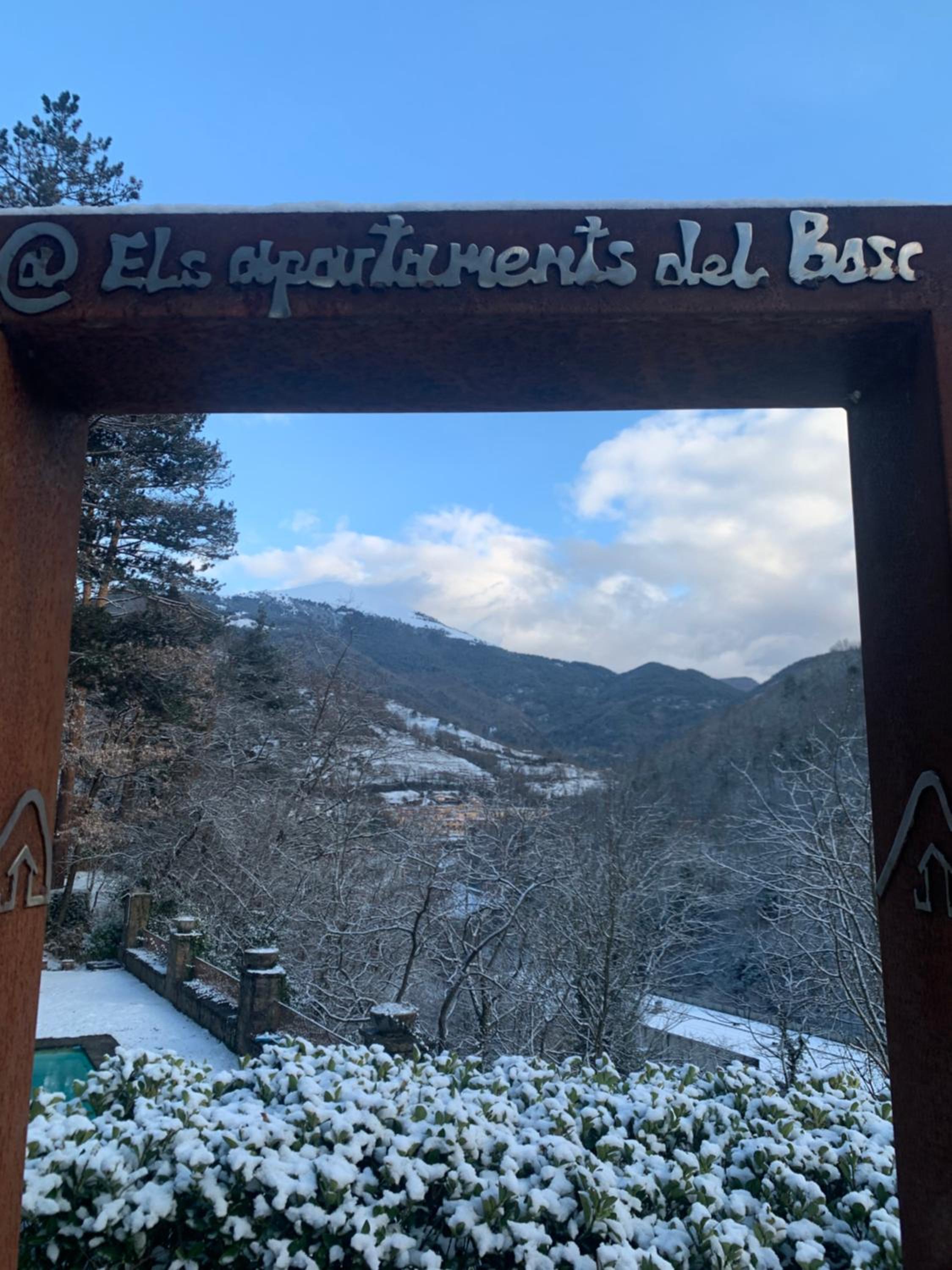 El Petit Estudi - Els Apartaments del Bosc