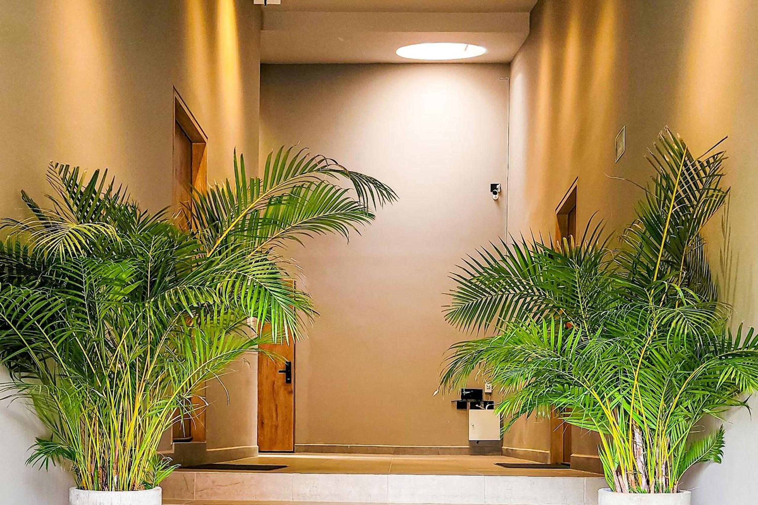 Las Lomas Luxury Lofts