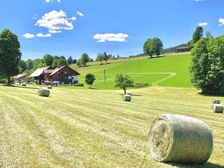 Biobauernhof Brandlhof