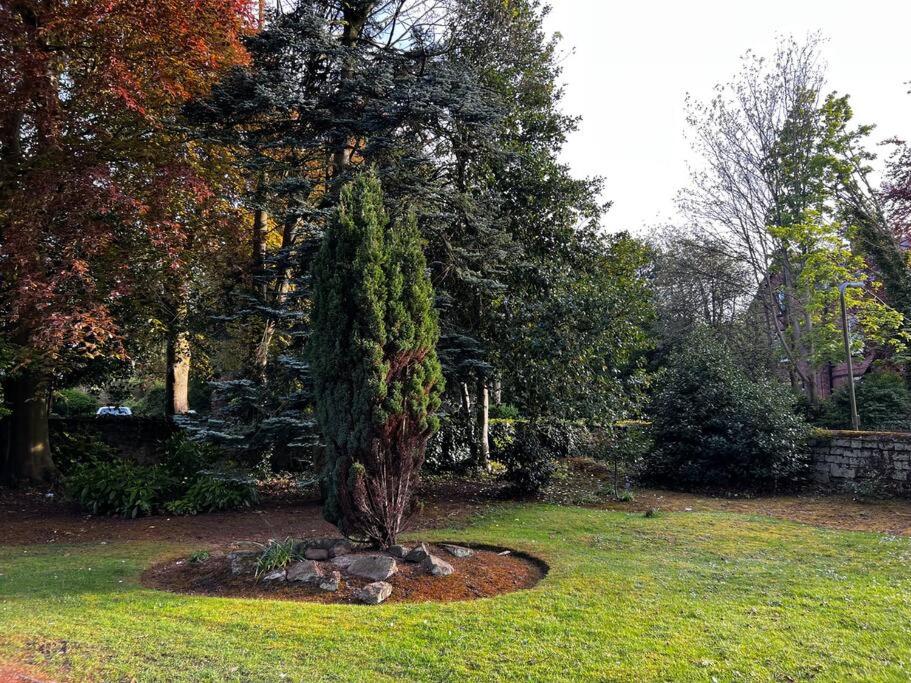 No.2 Beechcroft / Park-Side / Ping Pong & Garden view 2