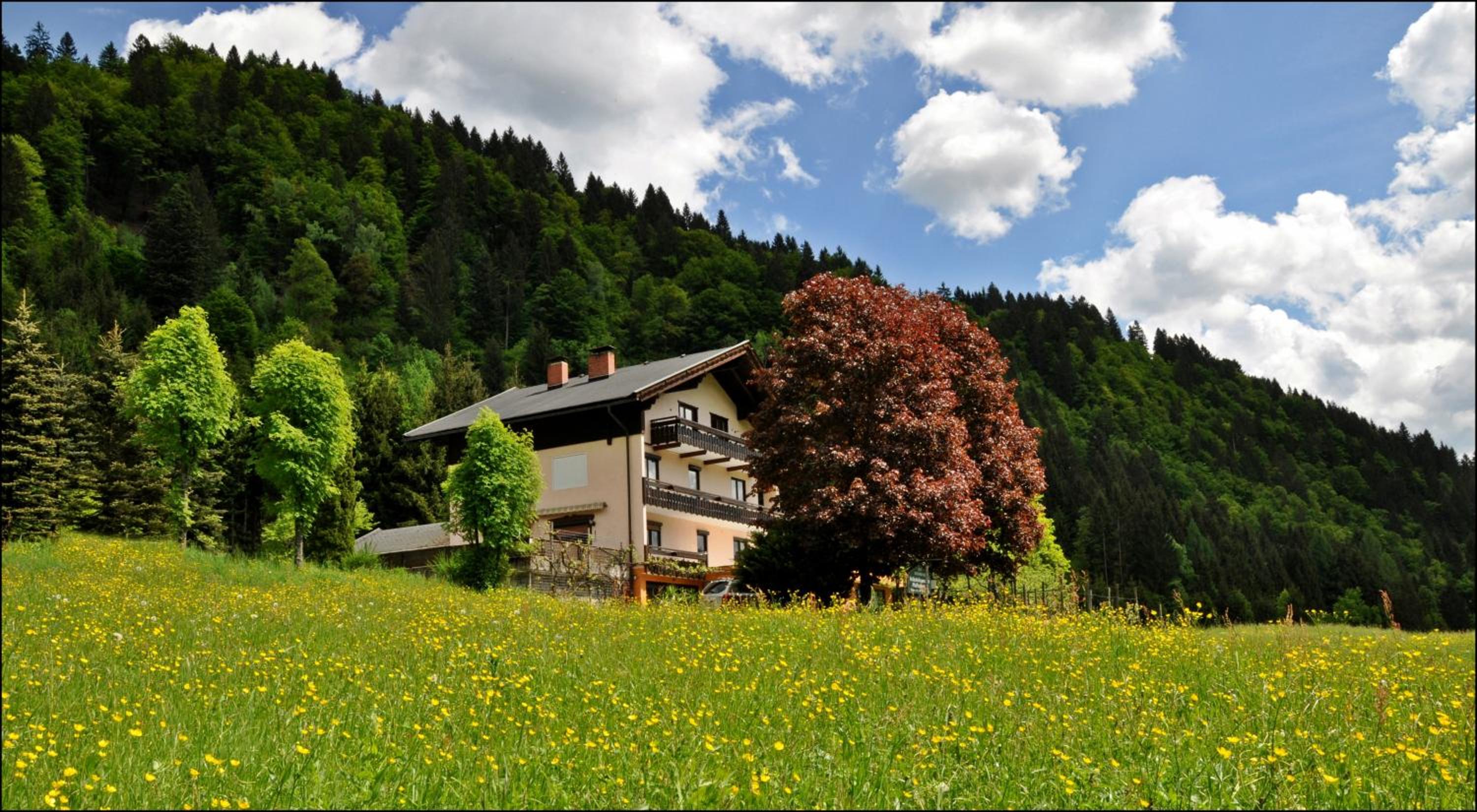 Enzianbrenner