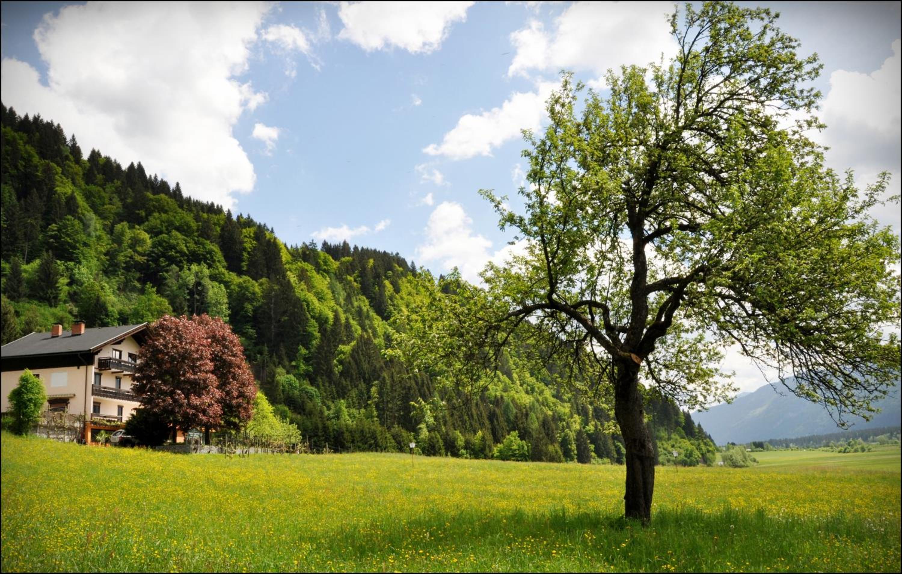 Enzianbrenner