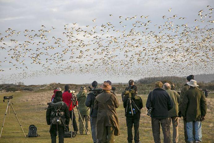 Avocet Lodge