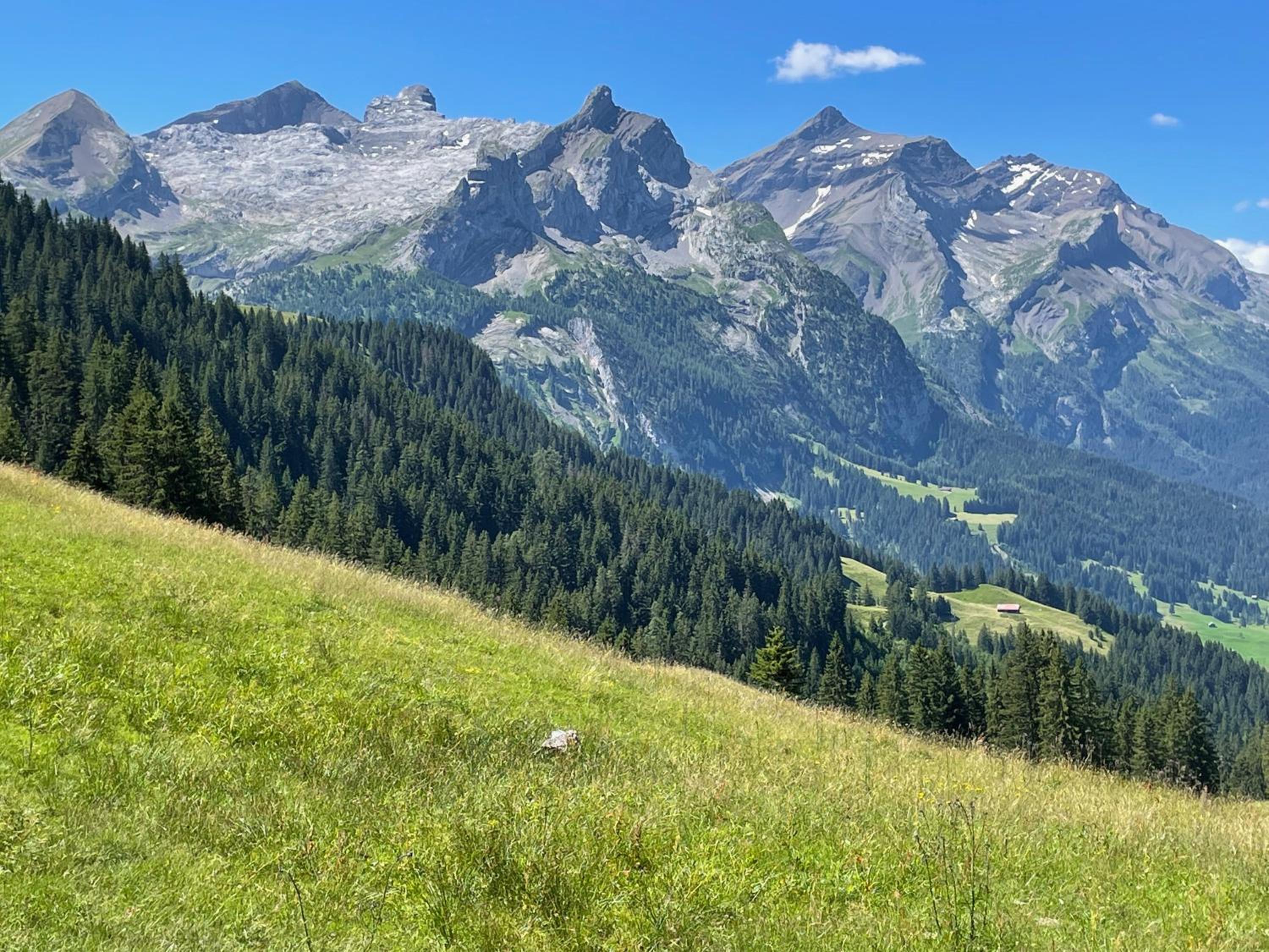 Alpen Charme - Chalet d'Hôtes et SPA
