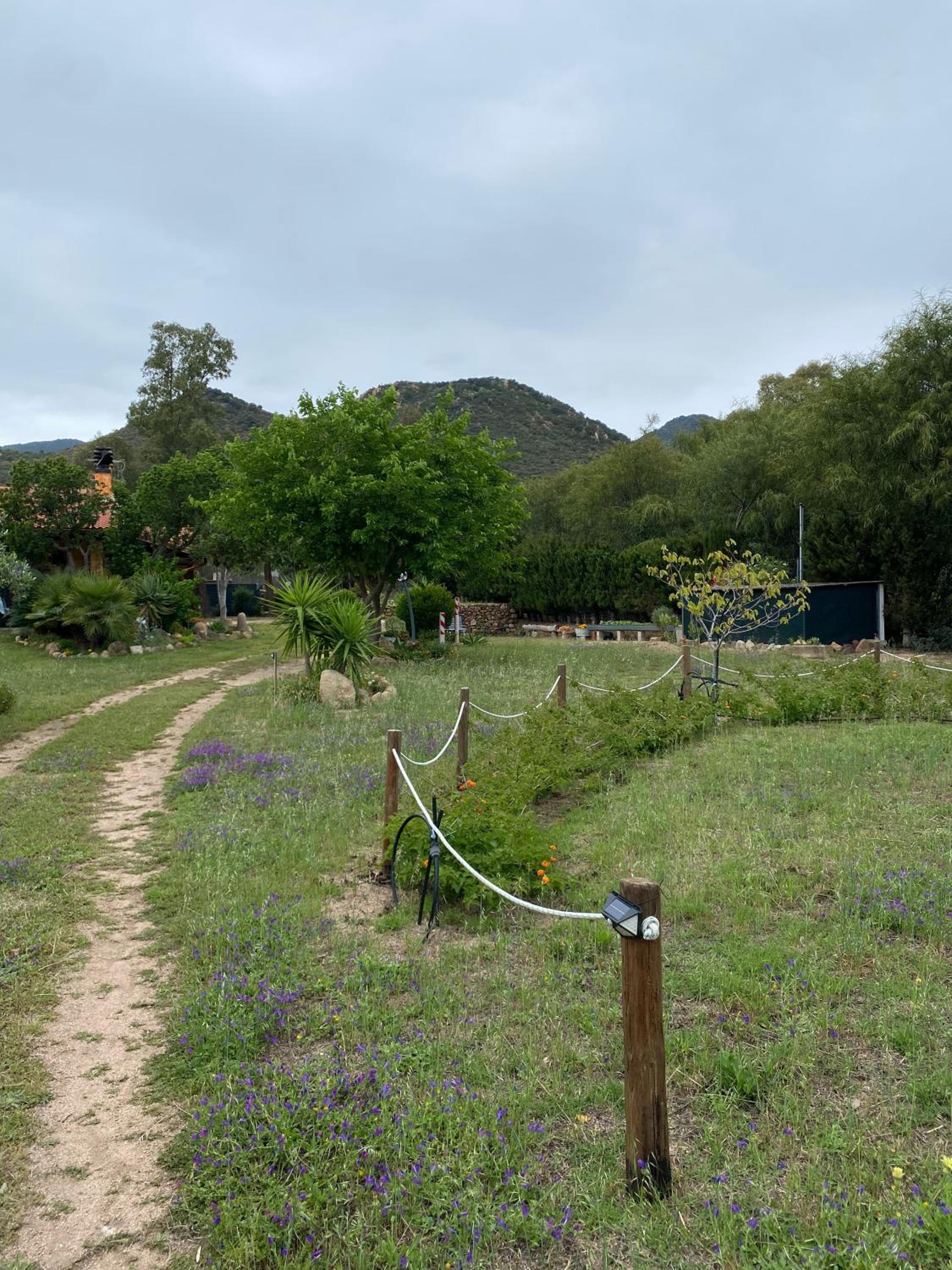 L'Uliveto HOLIDAY HOUSE