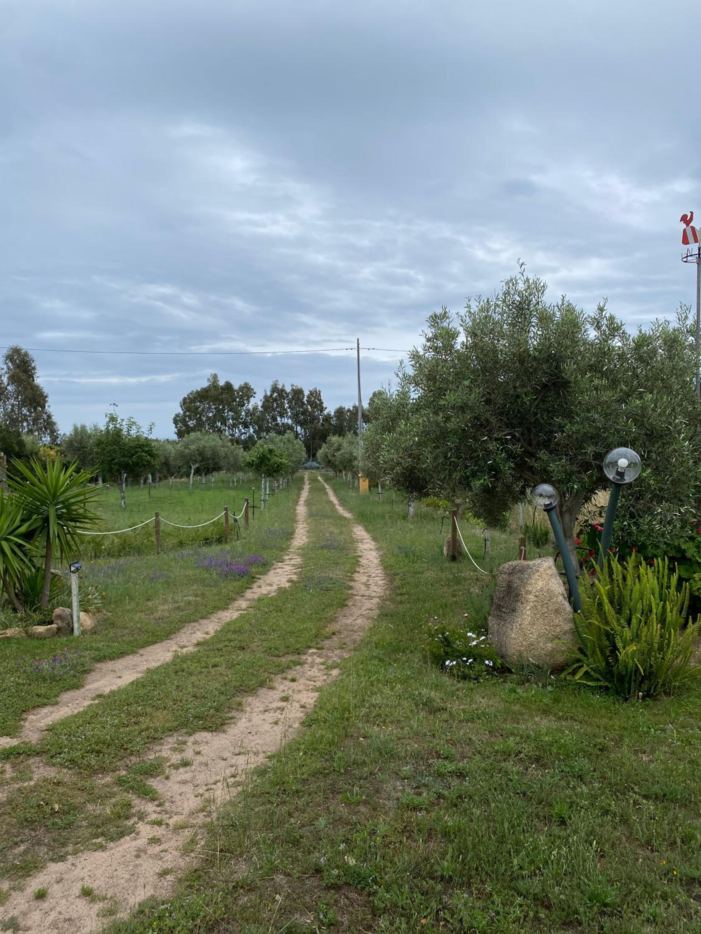 L'Uliveto HOLIDAY HOUSE