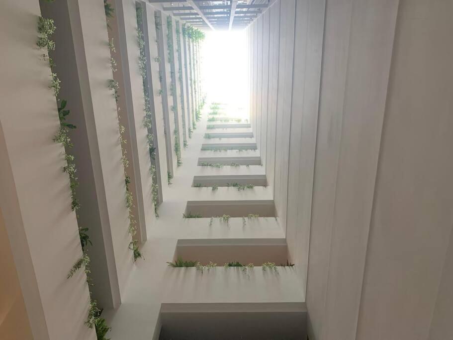 Newly built Apartment in Quito (Carolina-Iñaquito)