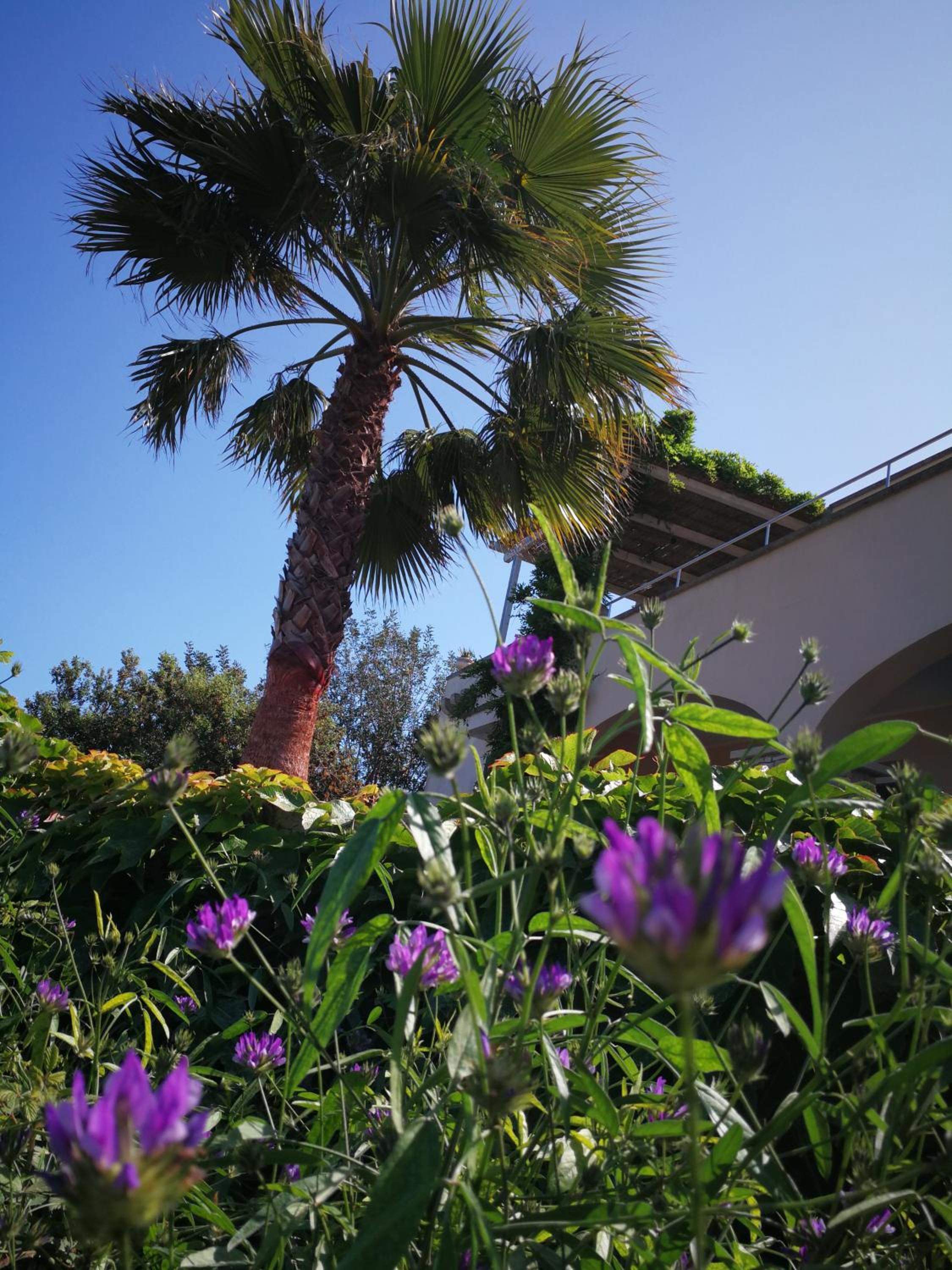 Photo 45