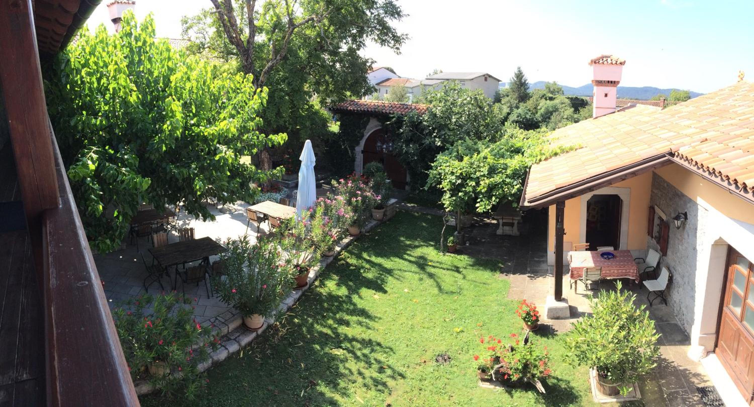 Photo 12