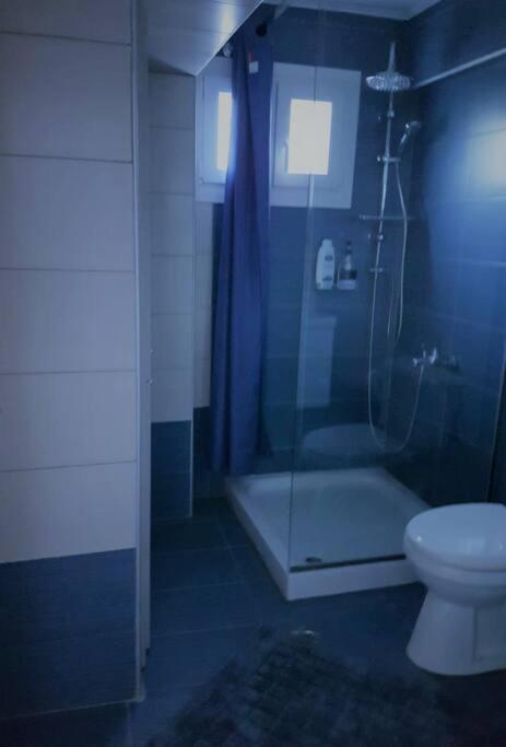 Photo 38