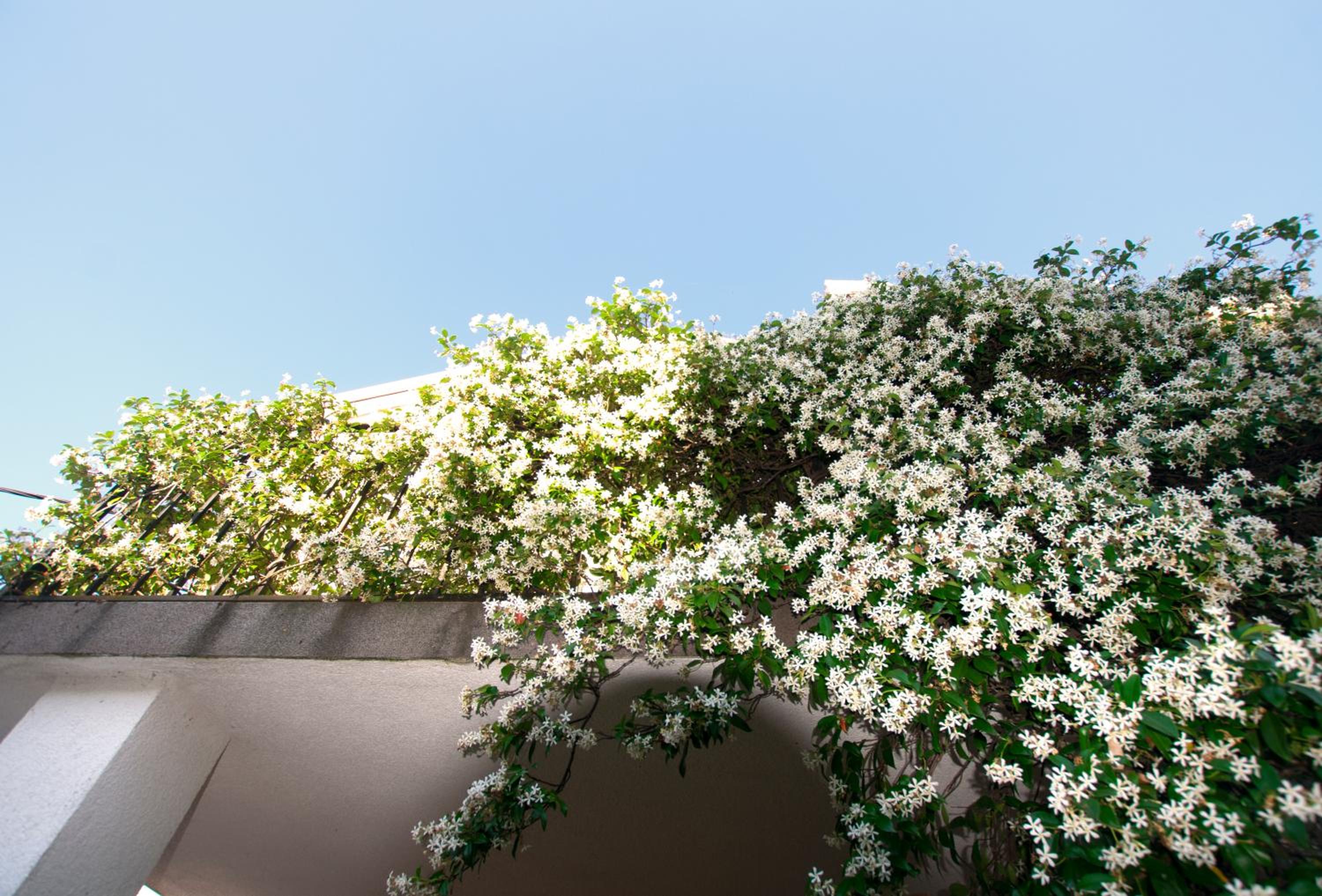 Photo 46