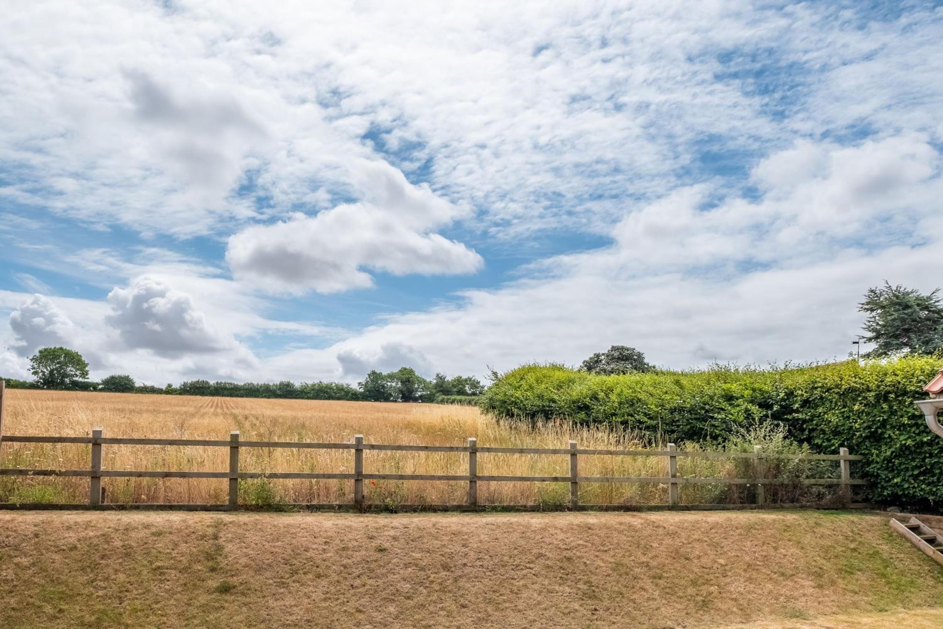 Field View