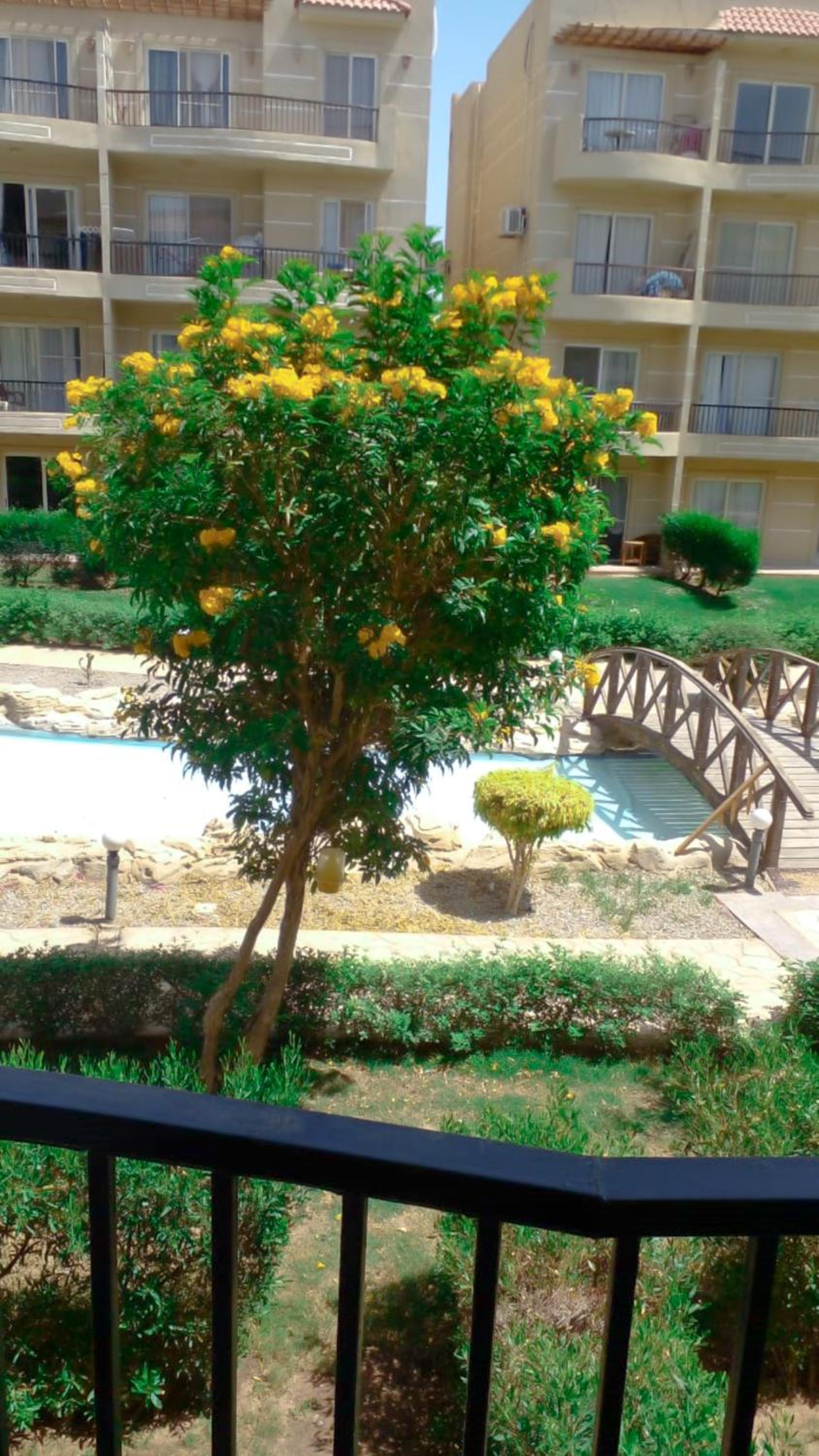 Holiday apartment free WI-FI