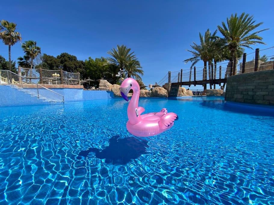 Flamingo Apartment - Imperial Park - Sea View, 6 Pools, Terrace photo 5