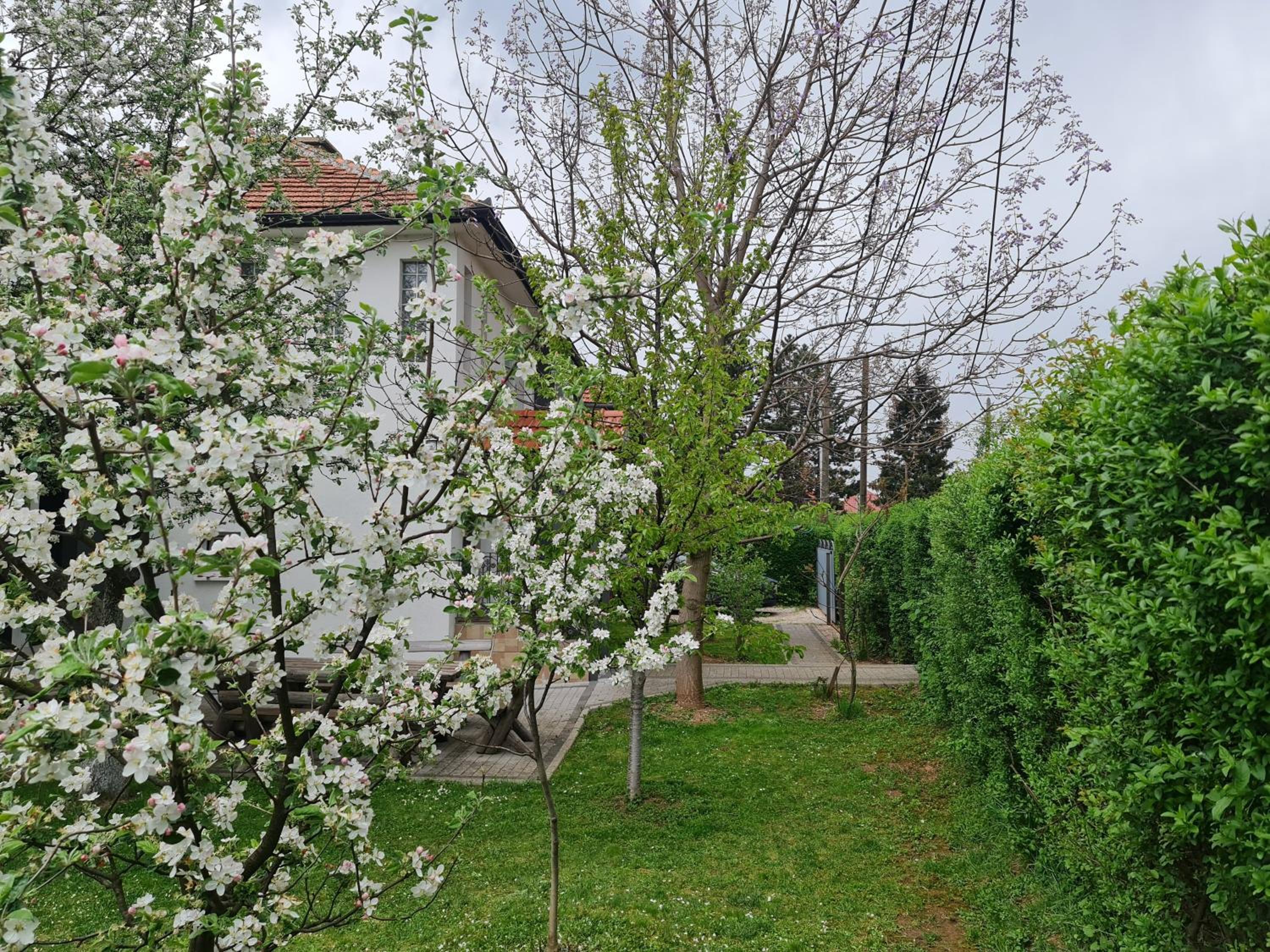 Green Garden Apartment view 4