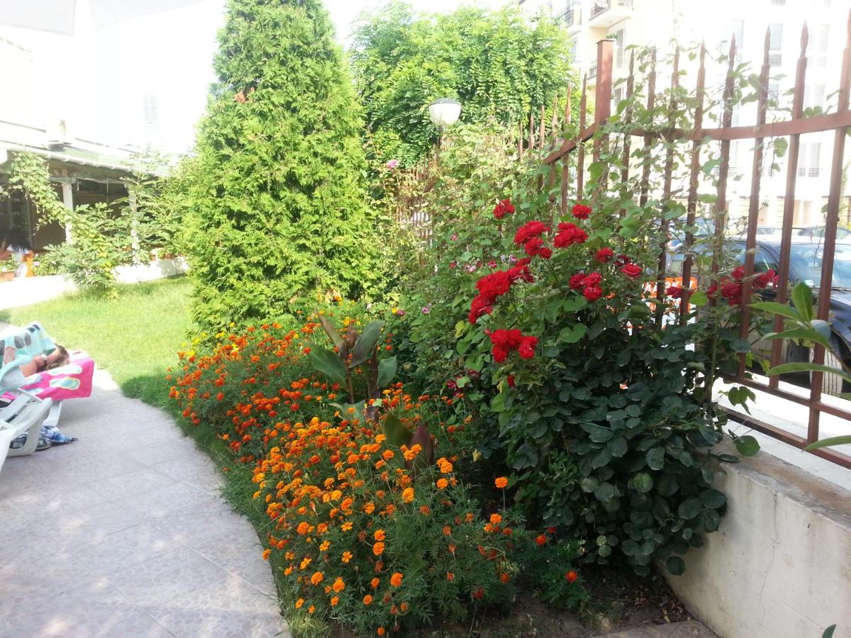 Julia Family - Menada Apartments