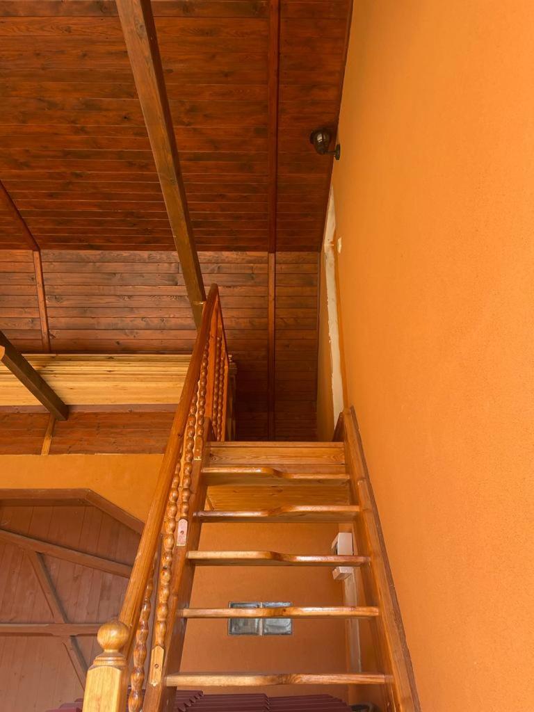 Apartmány Turkovna
