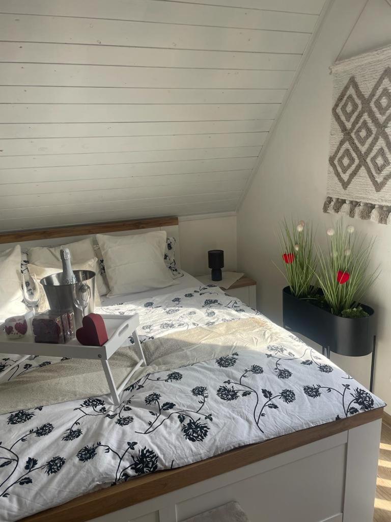 Apartmány Turkovna