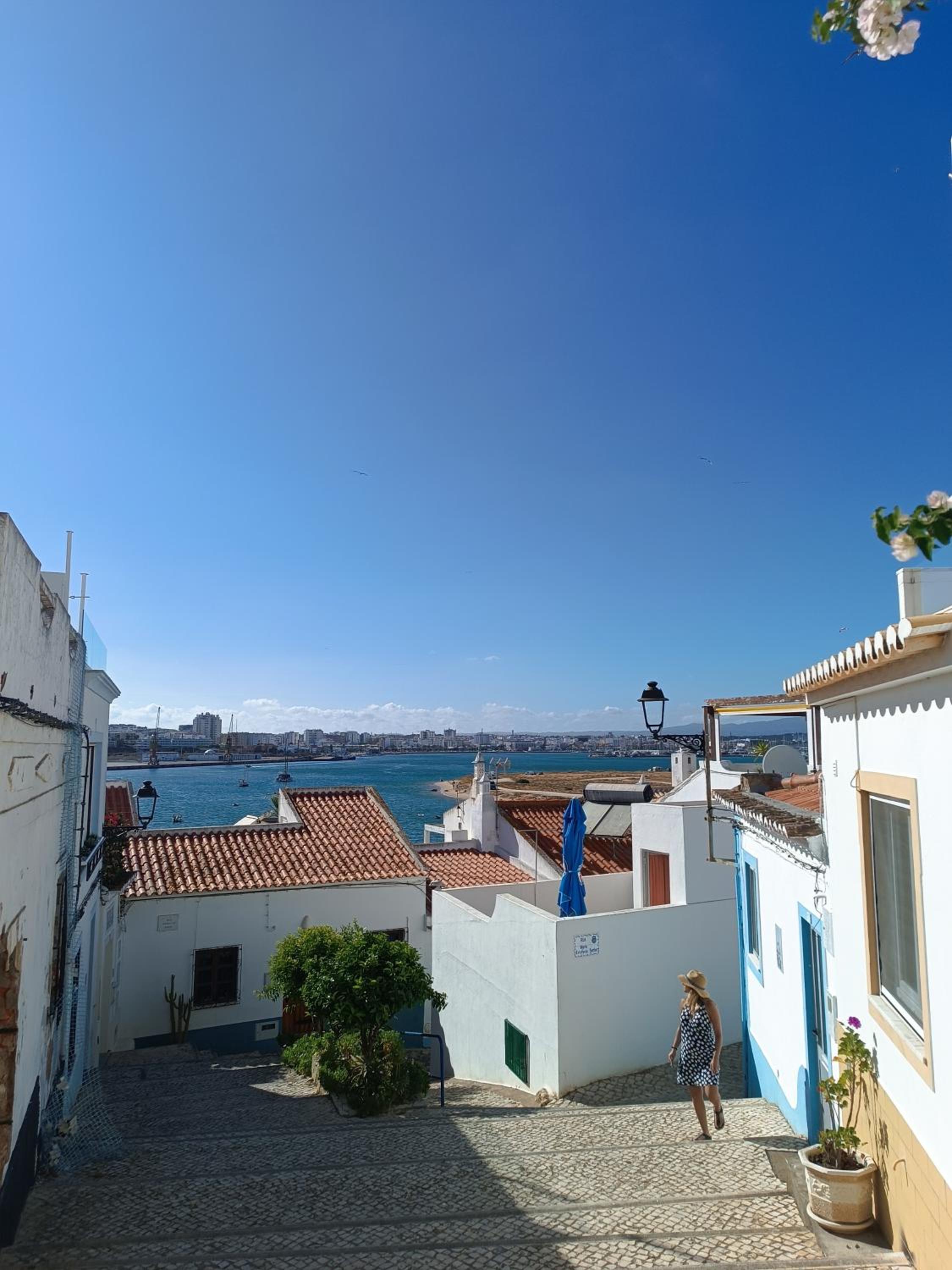 Ferragood House - Historic Center view 4