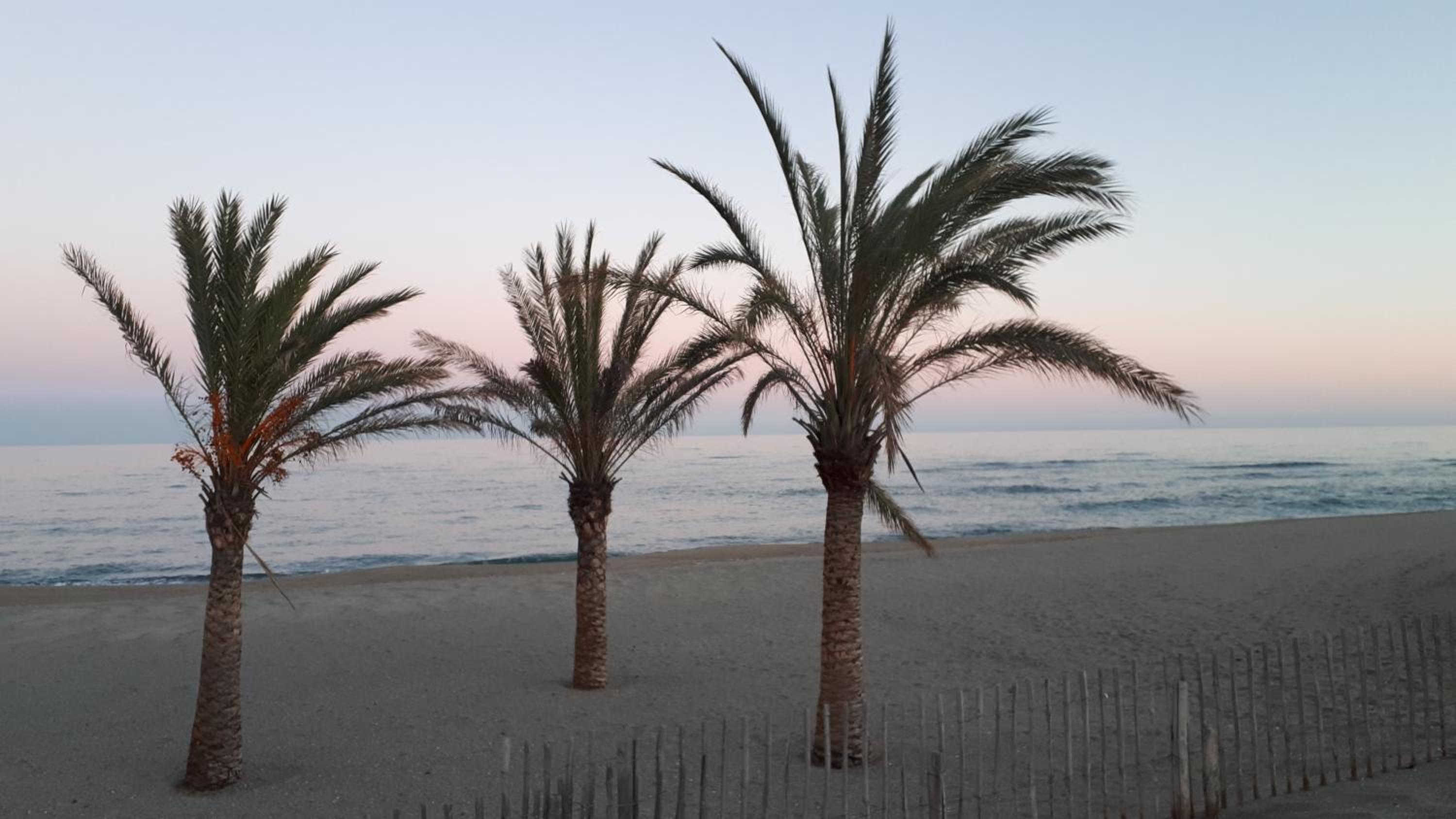 Confort en front de mer avec accès direct plage