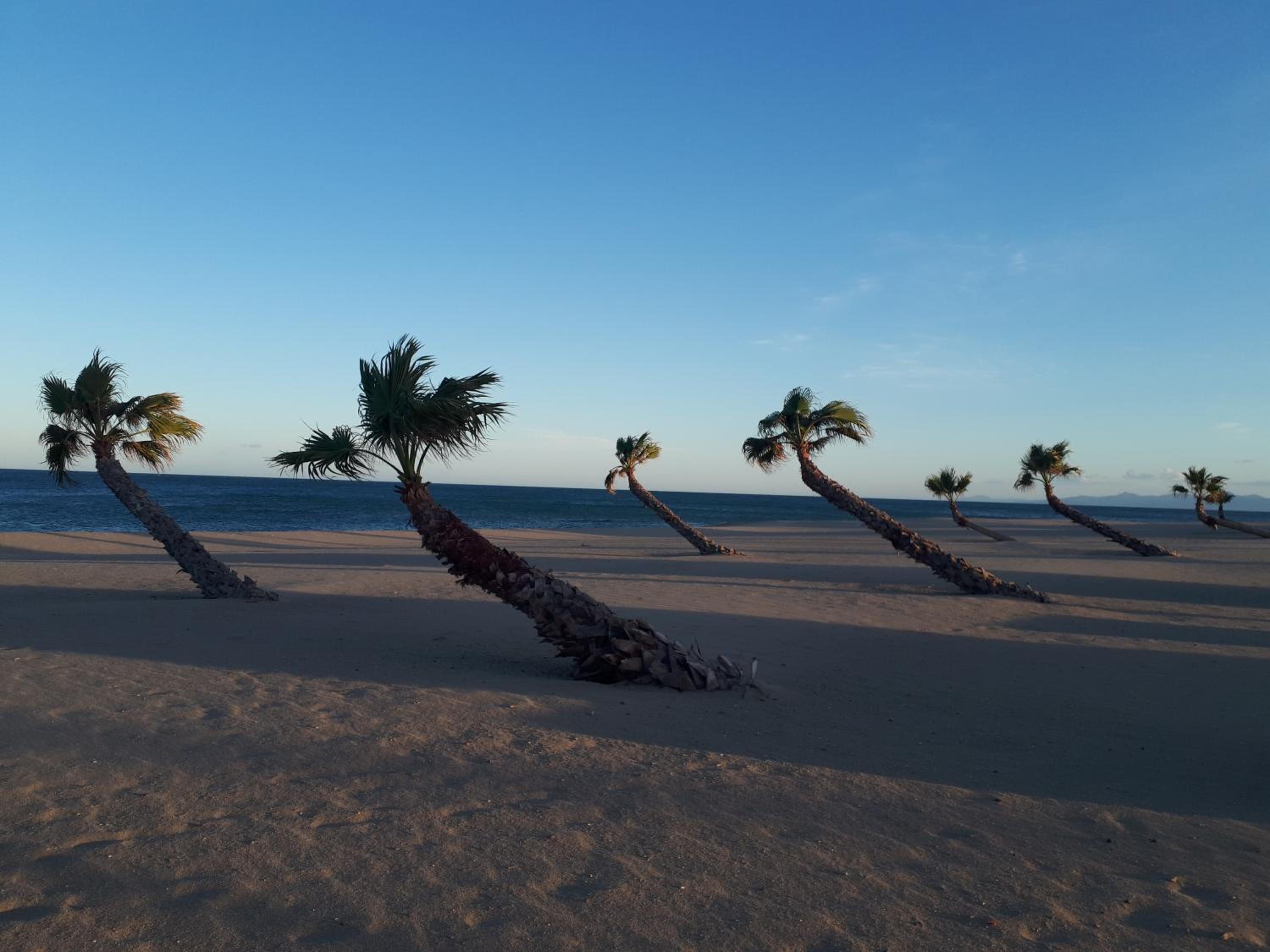 Confort en front de mer avec accès direct plage