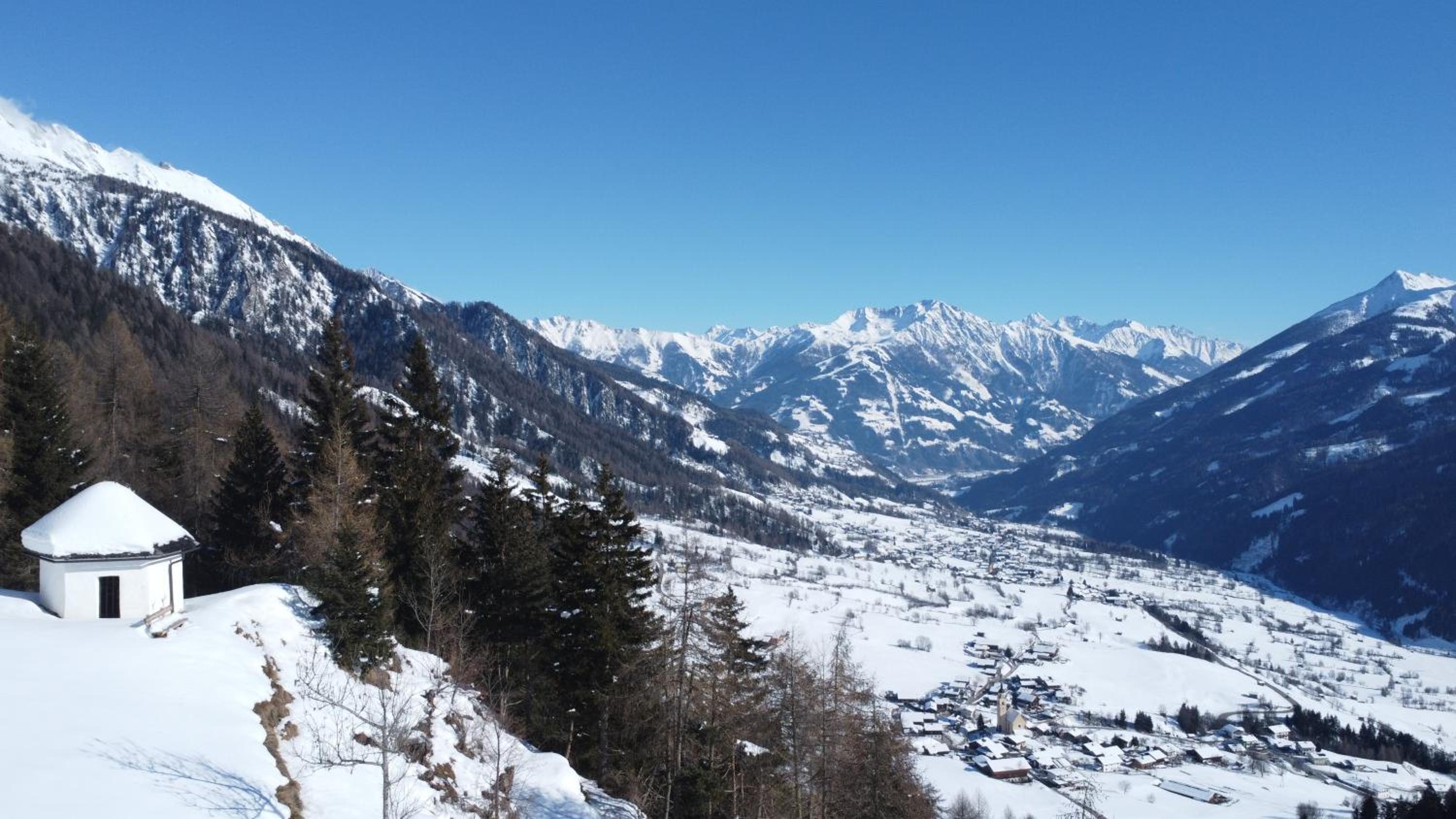 Budamerhof