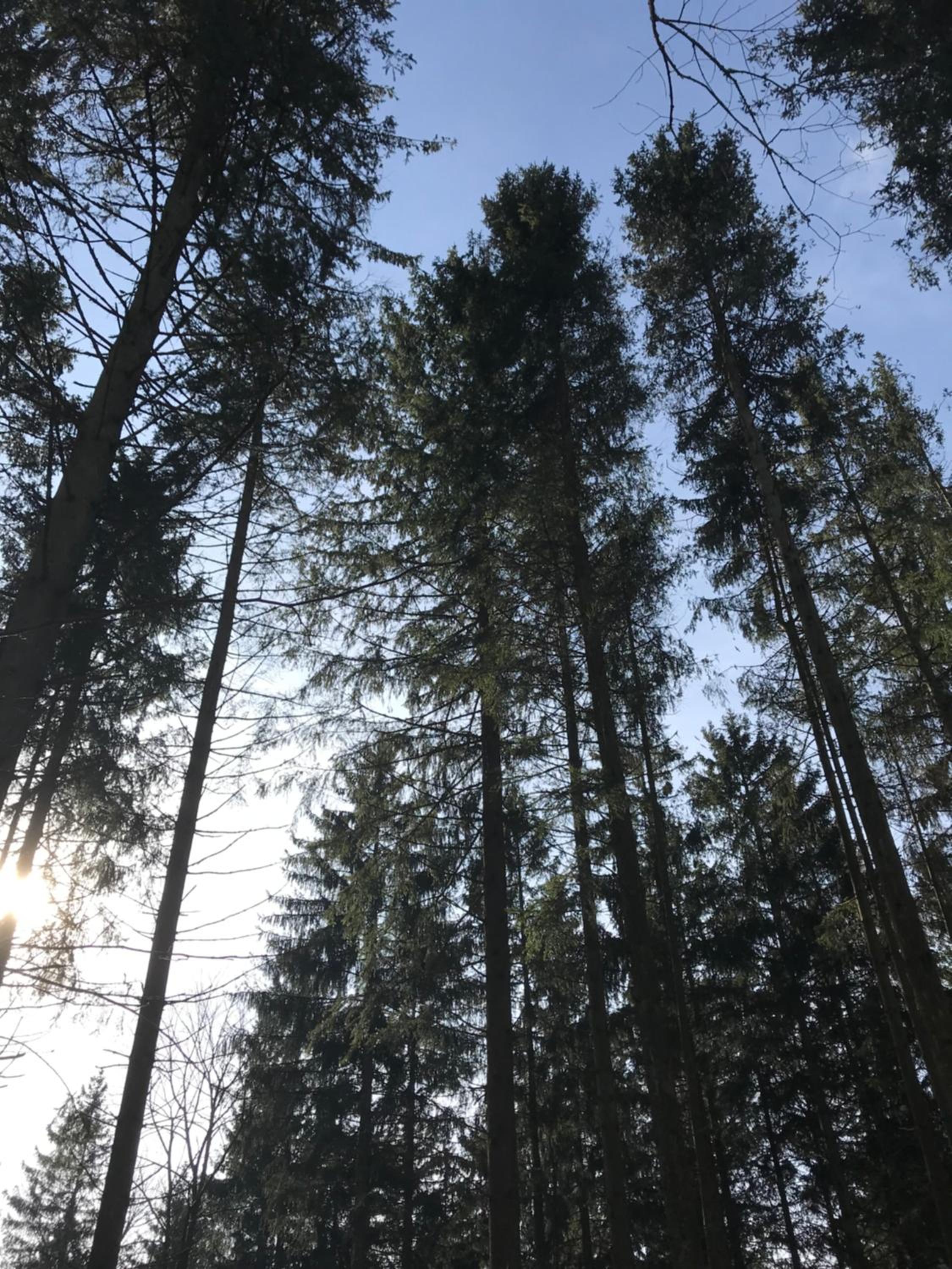 Wohnung mit Panoramablick